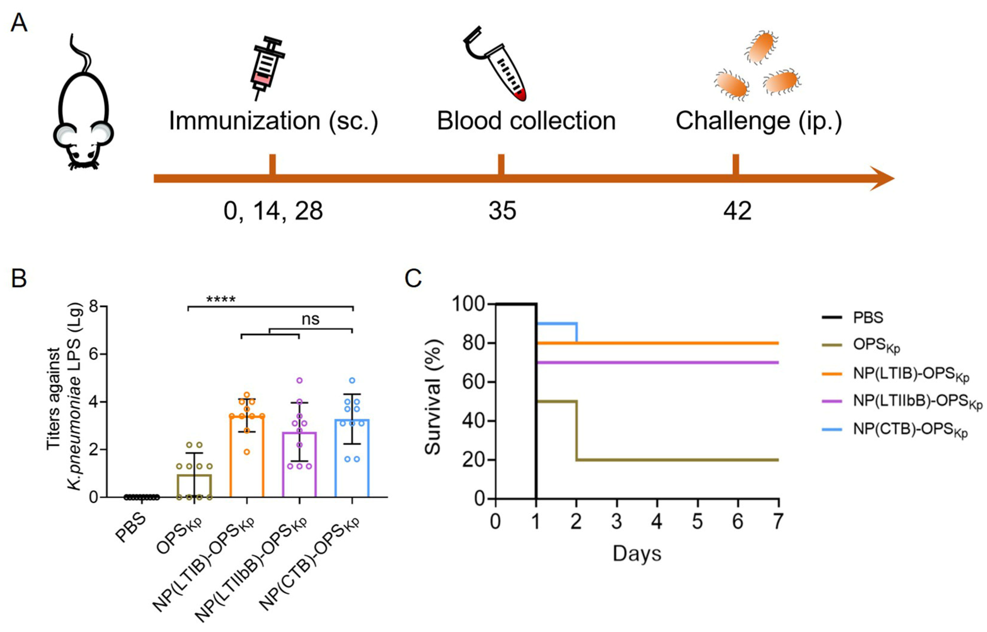 Vaccines 12 00347 g008