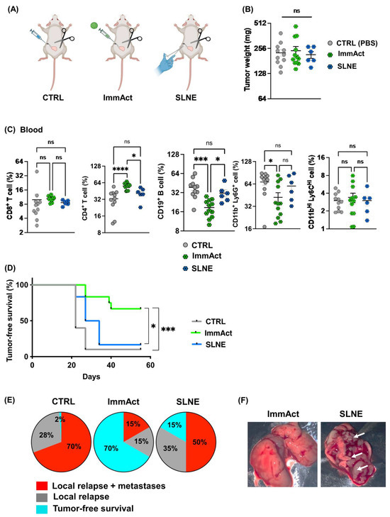 Vaccines Free FullText Intranodal Injection of Immune Activator