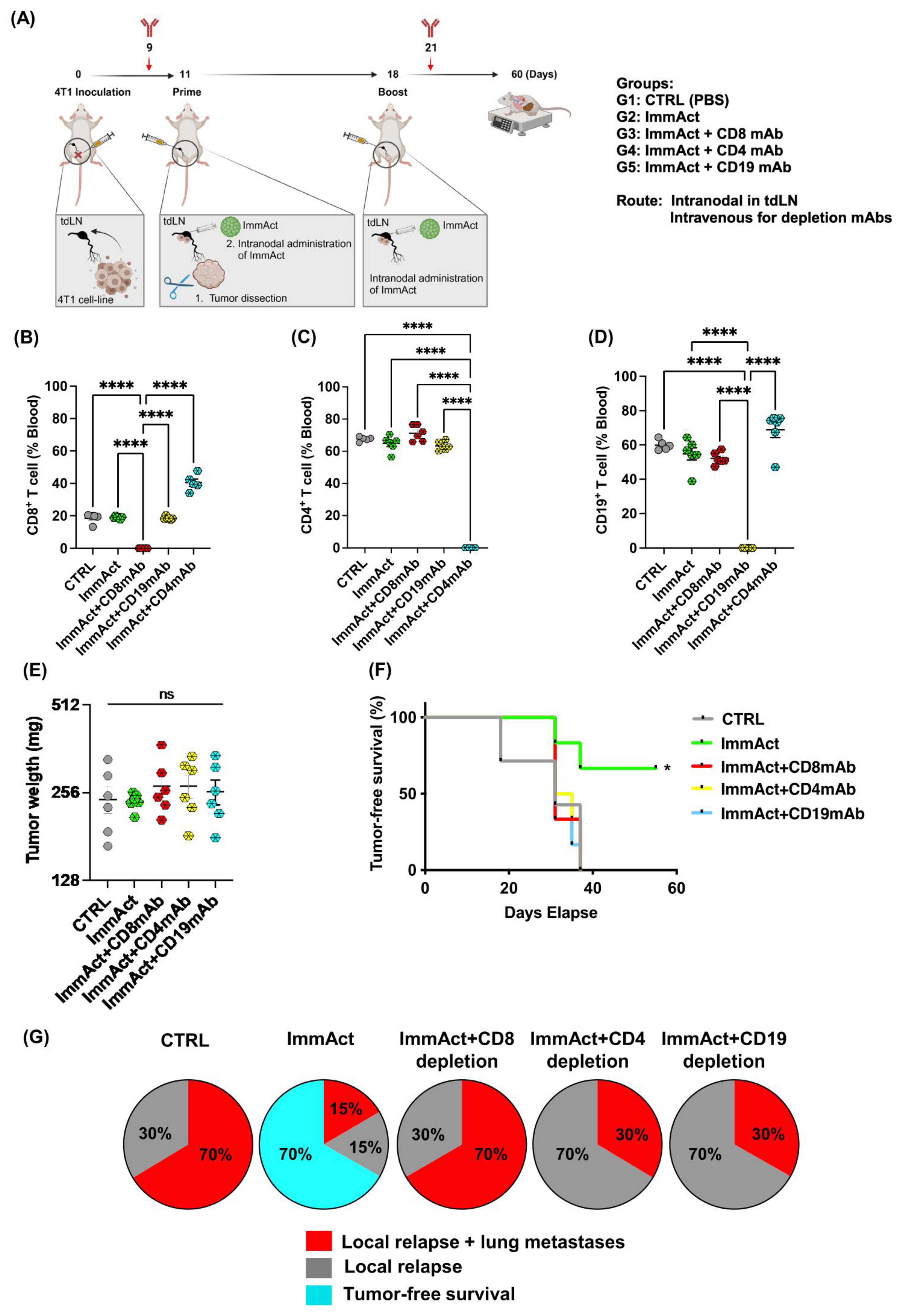 Vaccines 12 00355 g005