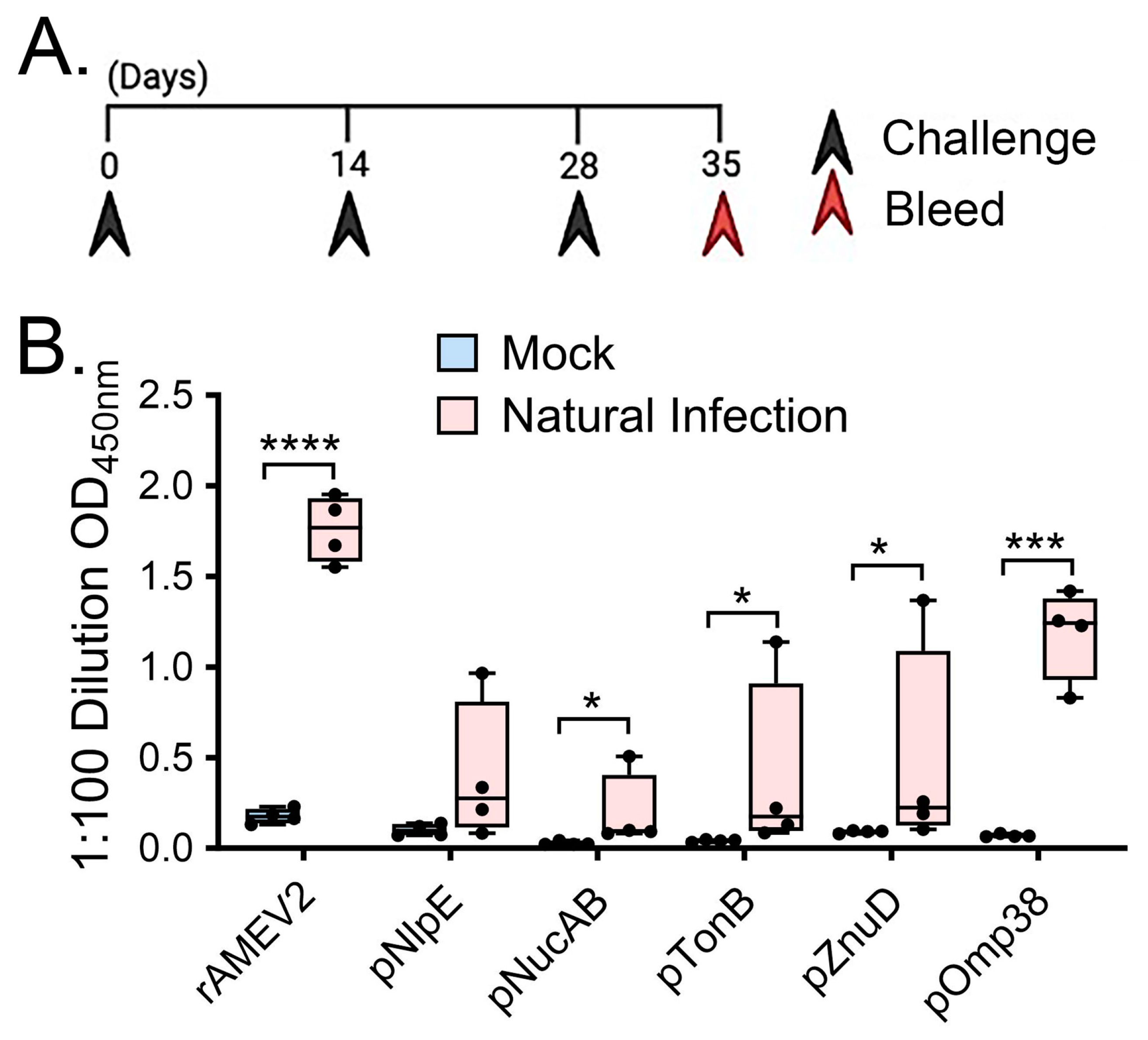 Vaccines 12 00358 g003 Vaccines 12 00358 g003