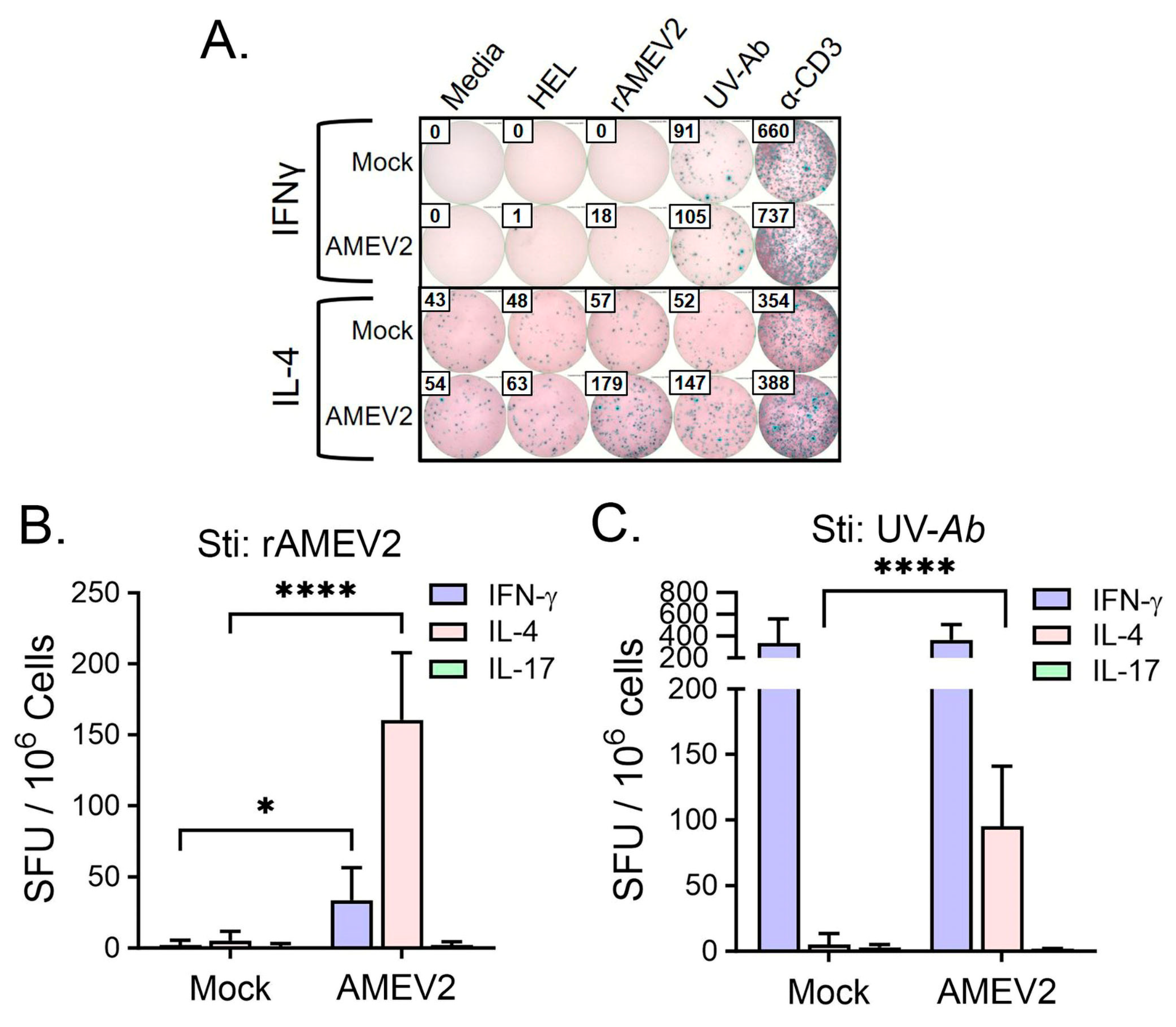 Vaccines 12 00358 g006 Vaccines 12 00358 g006