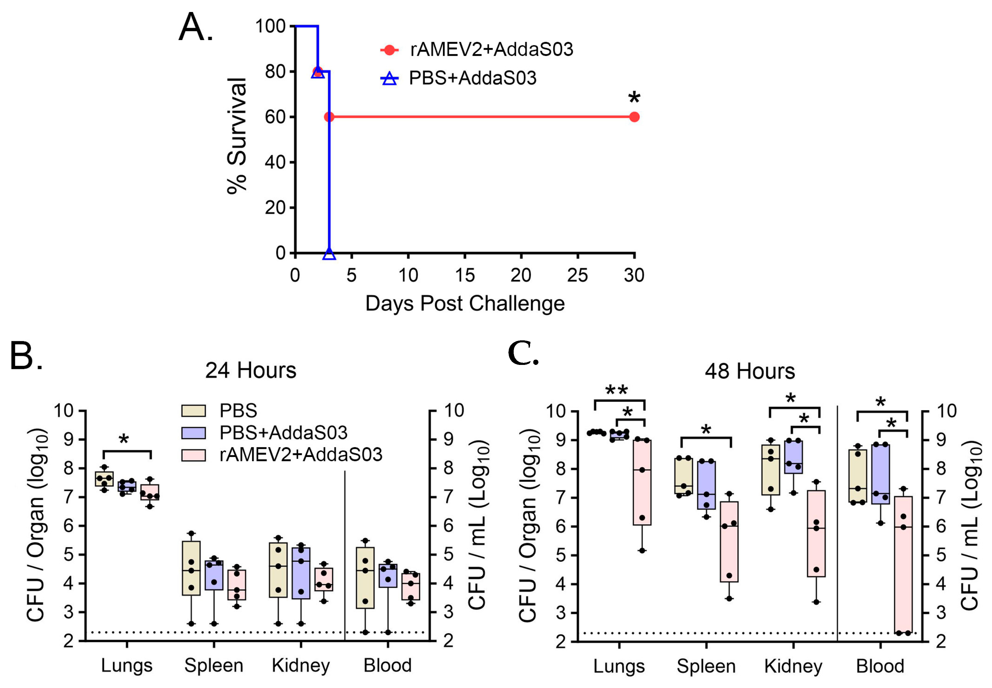 Vaccines 12 00358 g007 Vaccines 12 00358 g007