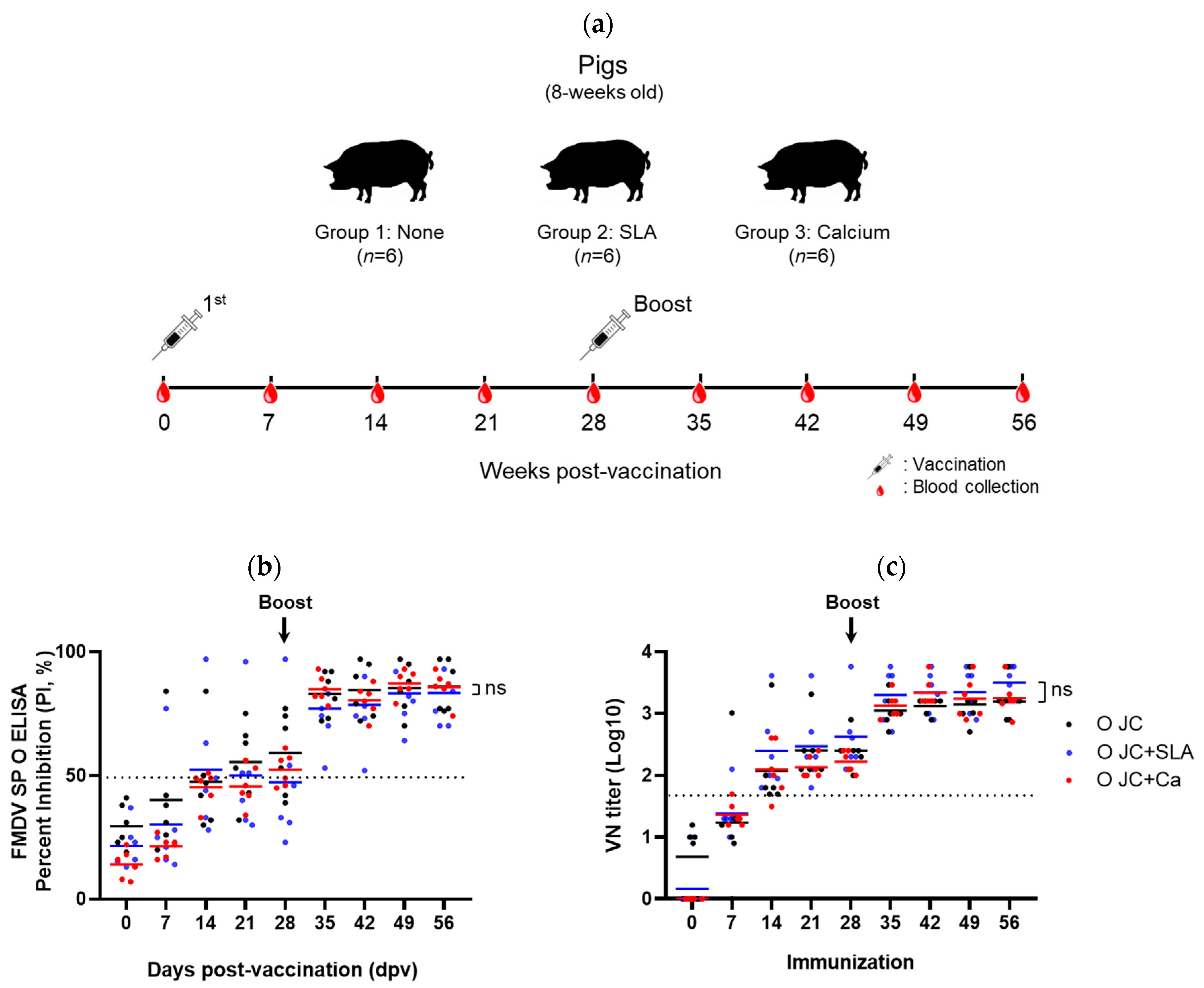 Vaccines 12 00367 g003 Vaccines 12 00367 g003