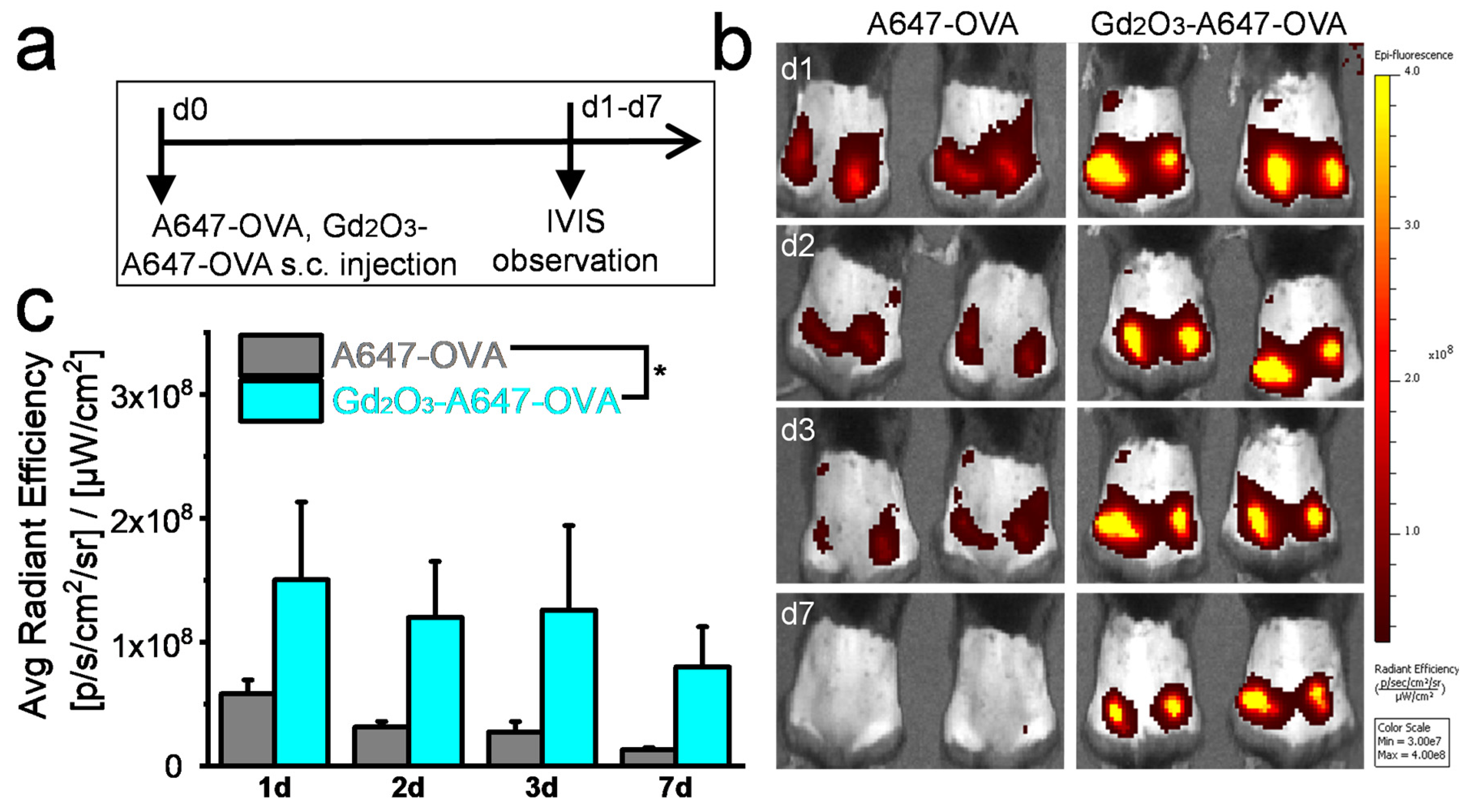 Vaccines 12 00373 g003