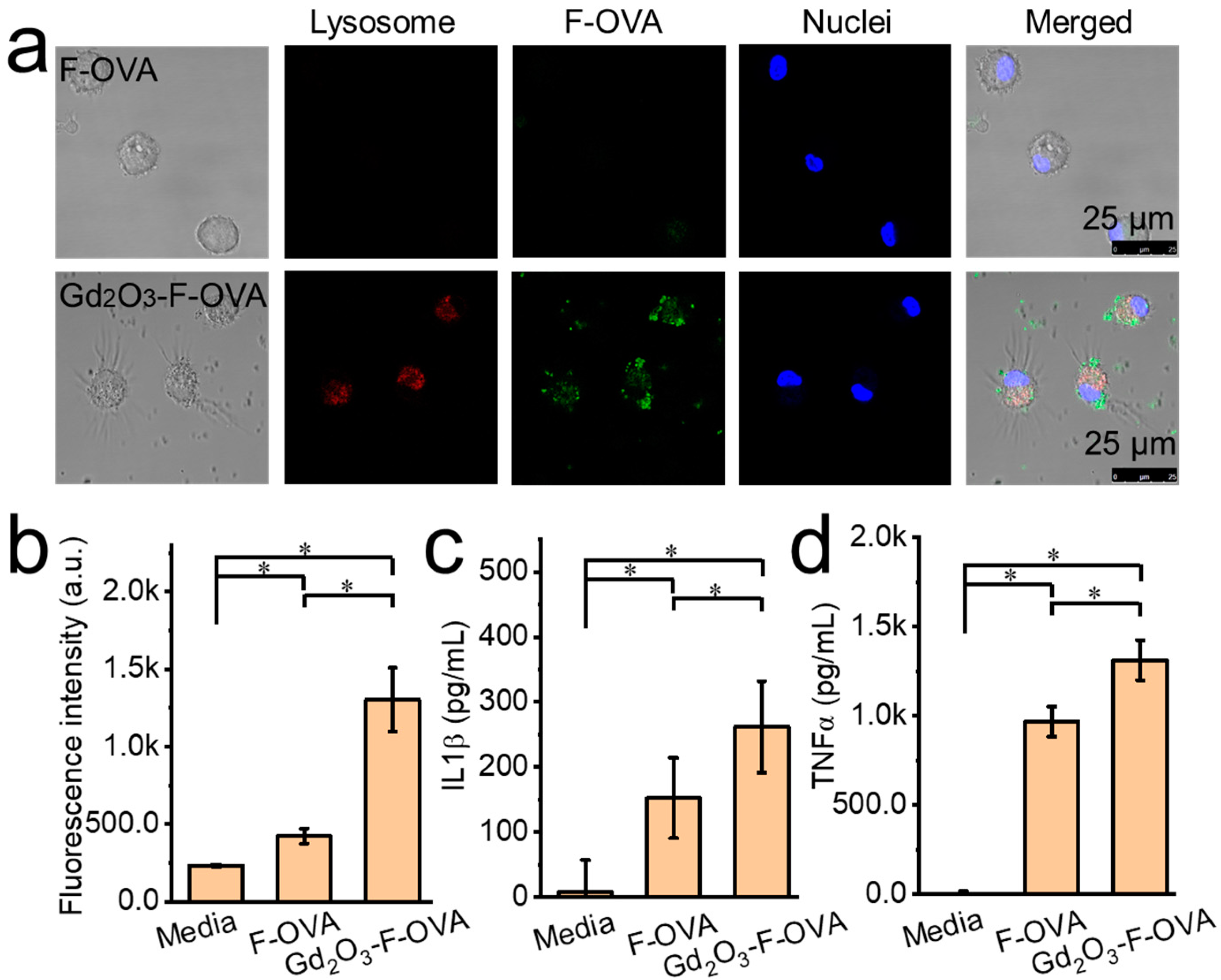 Vaccines 12 00373 g004