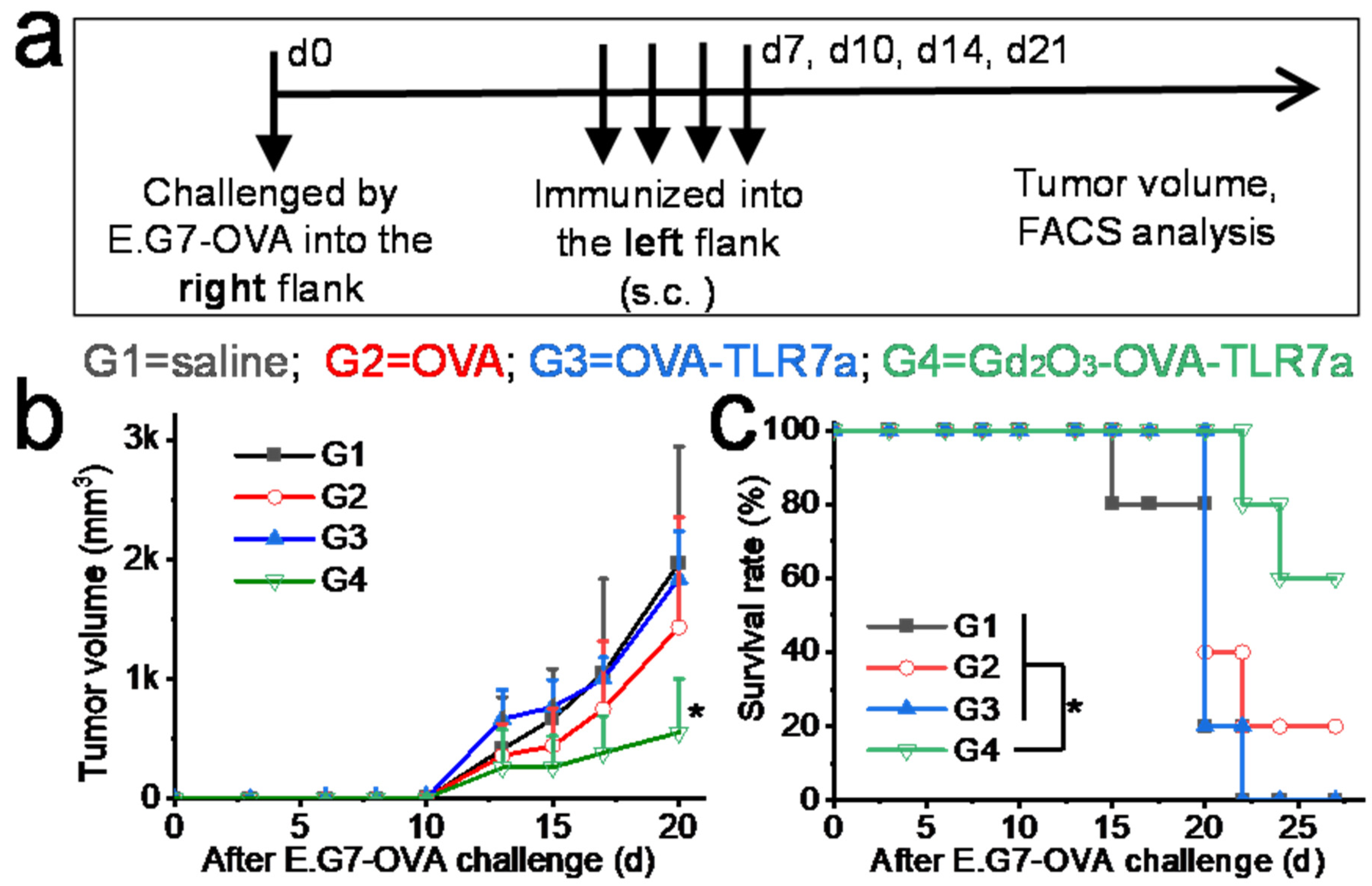 Vaccines 12 00373 g006