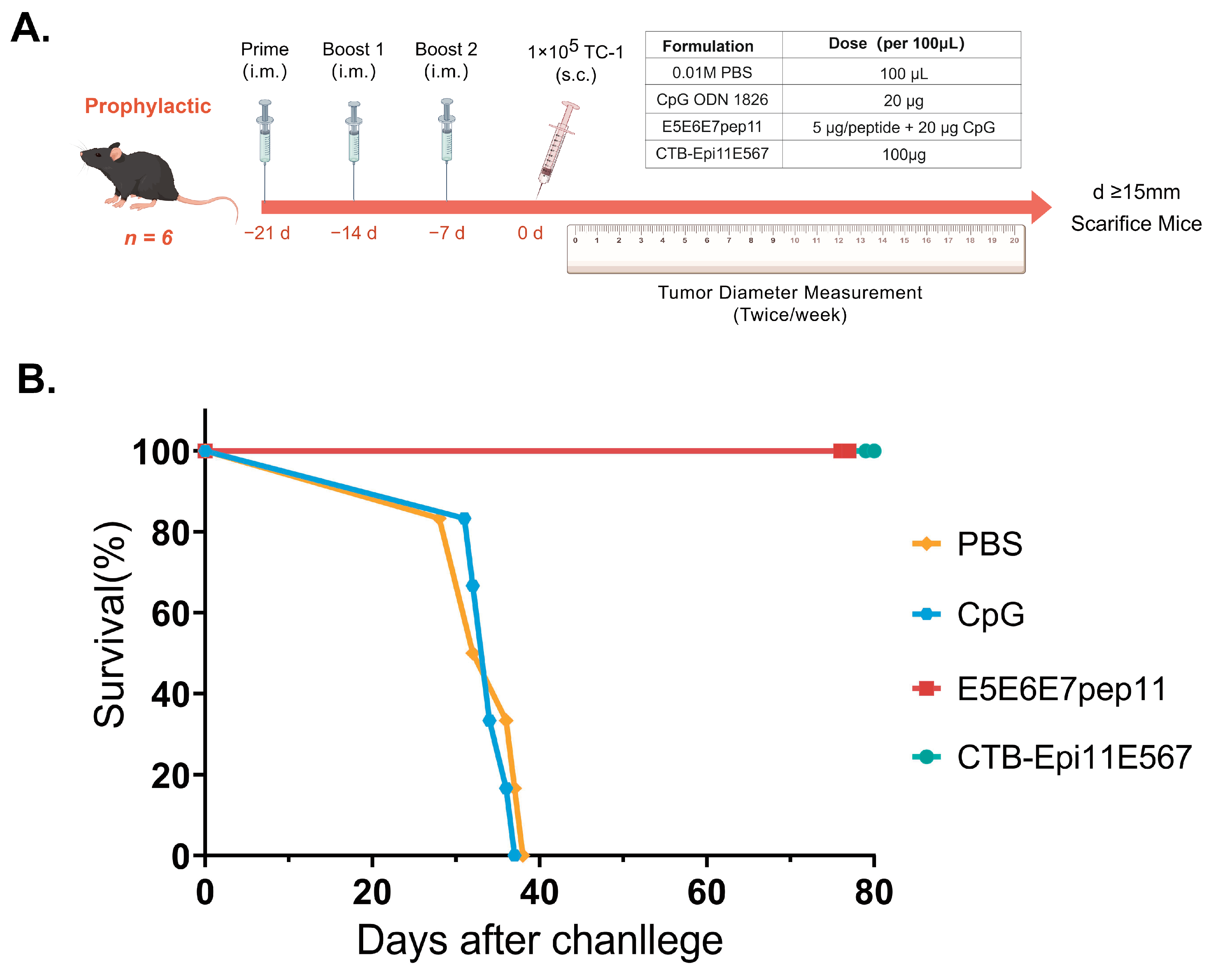 Vaccines 12 00392 g004