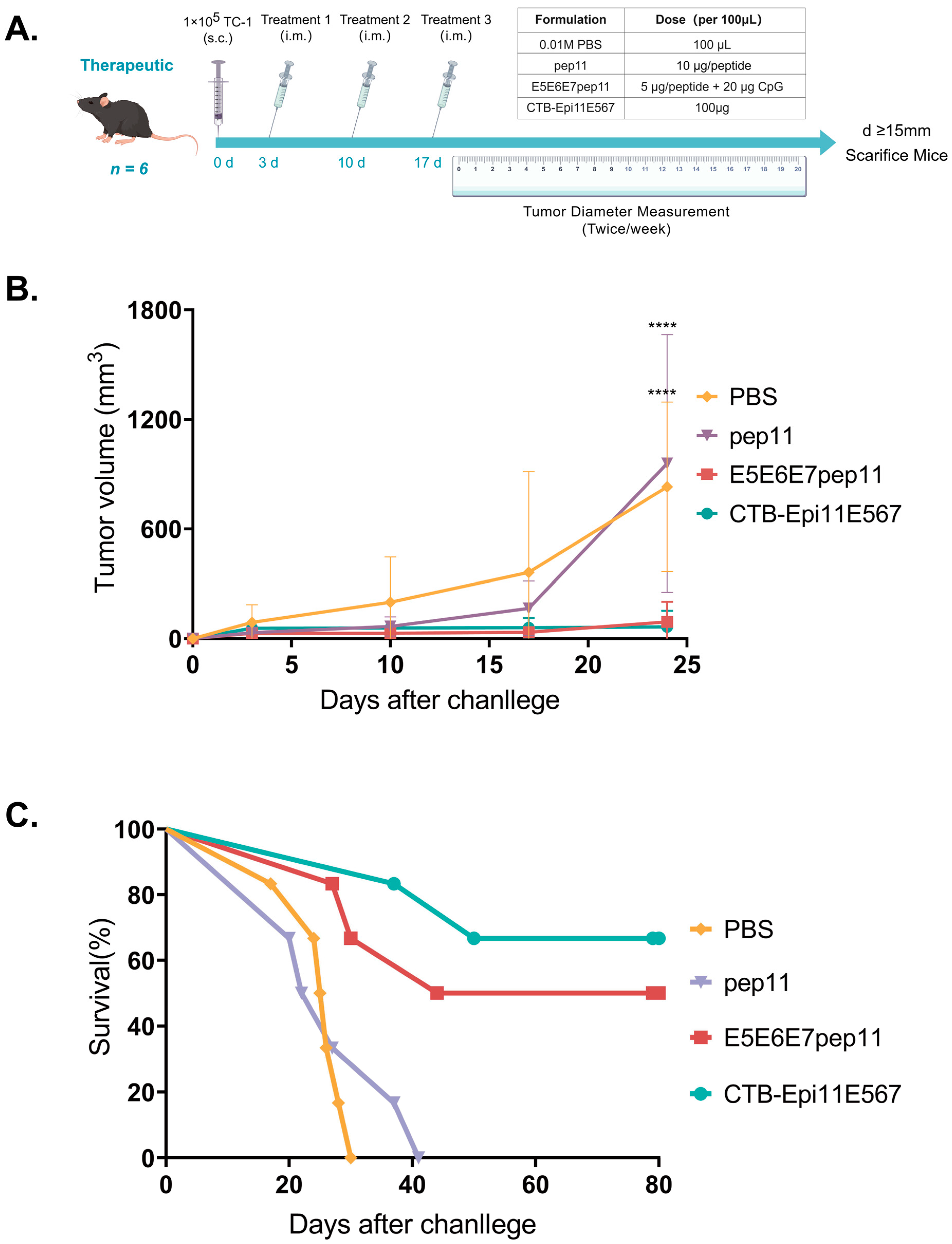 Vaccines 12 00392 g005