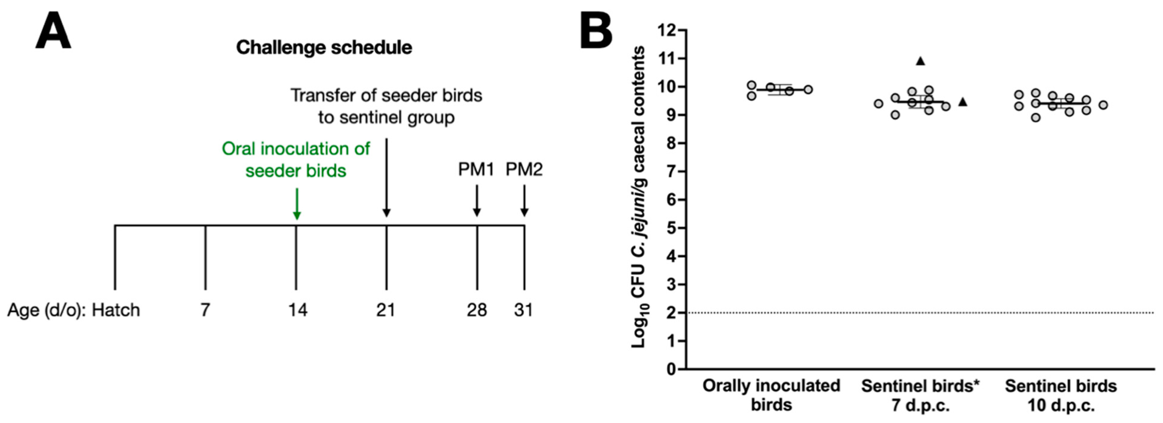 Vaccines 12 00395 g002