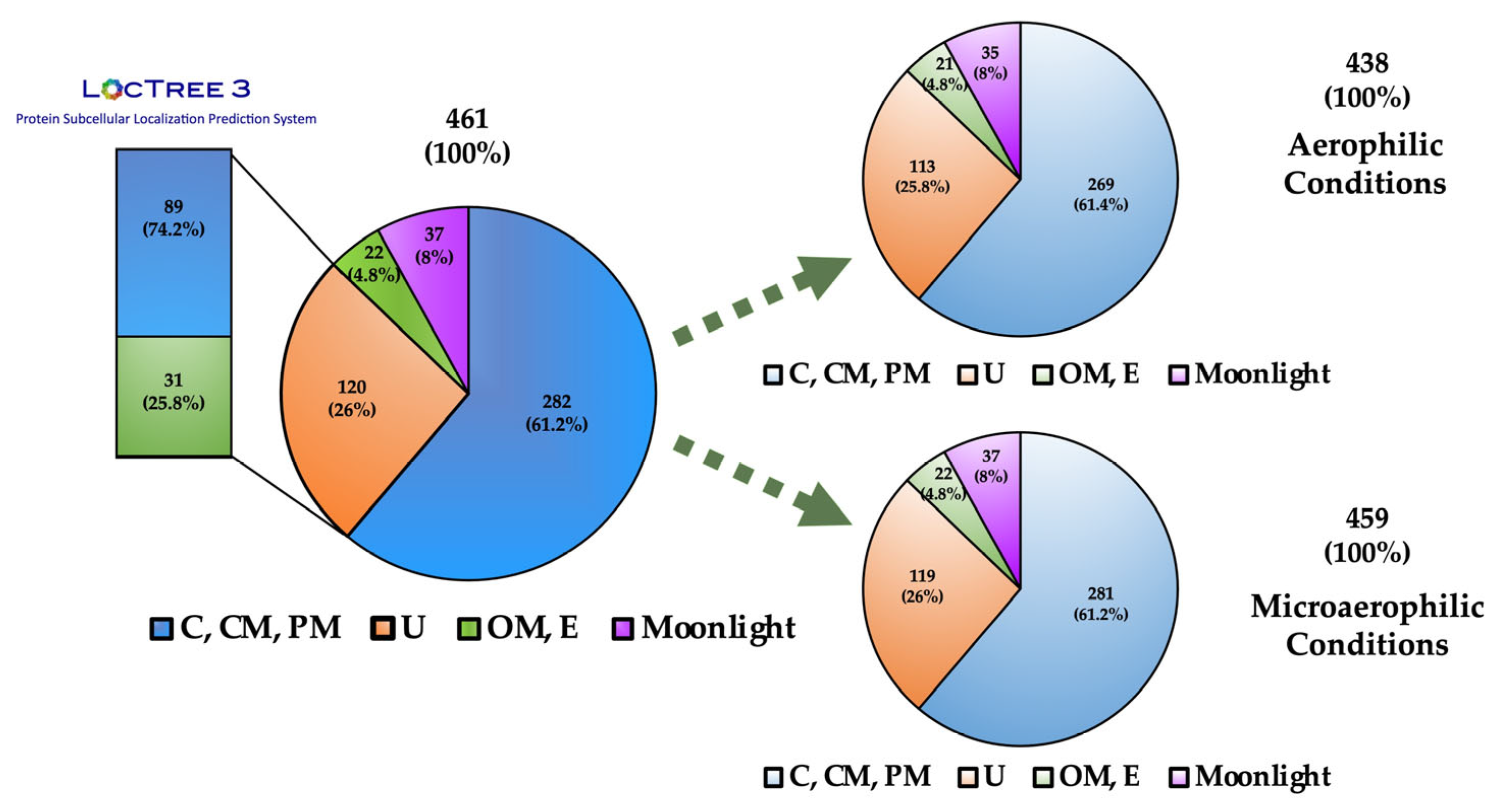 Vaccines 12 00398 g002