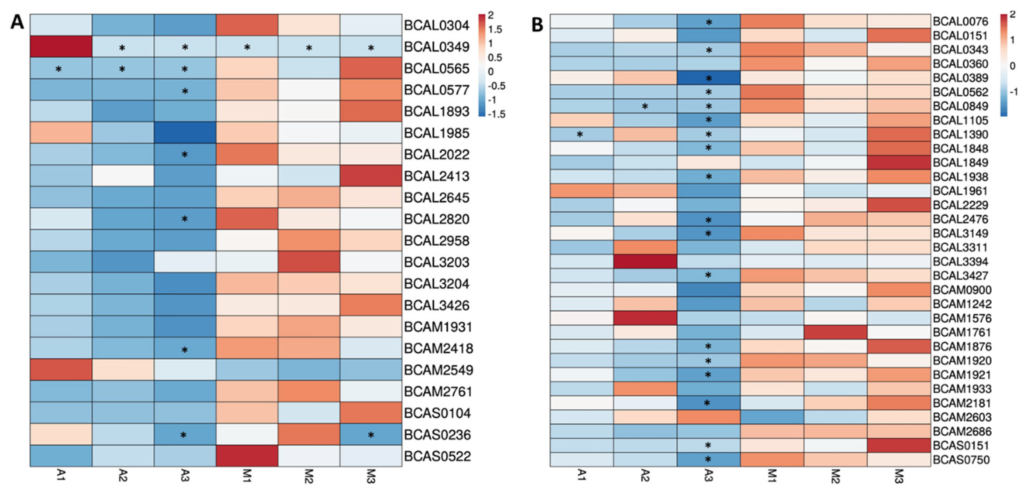 Vaccines 12 00398 g004