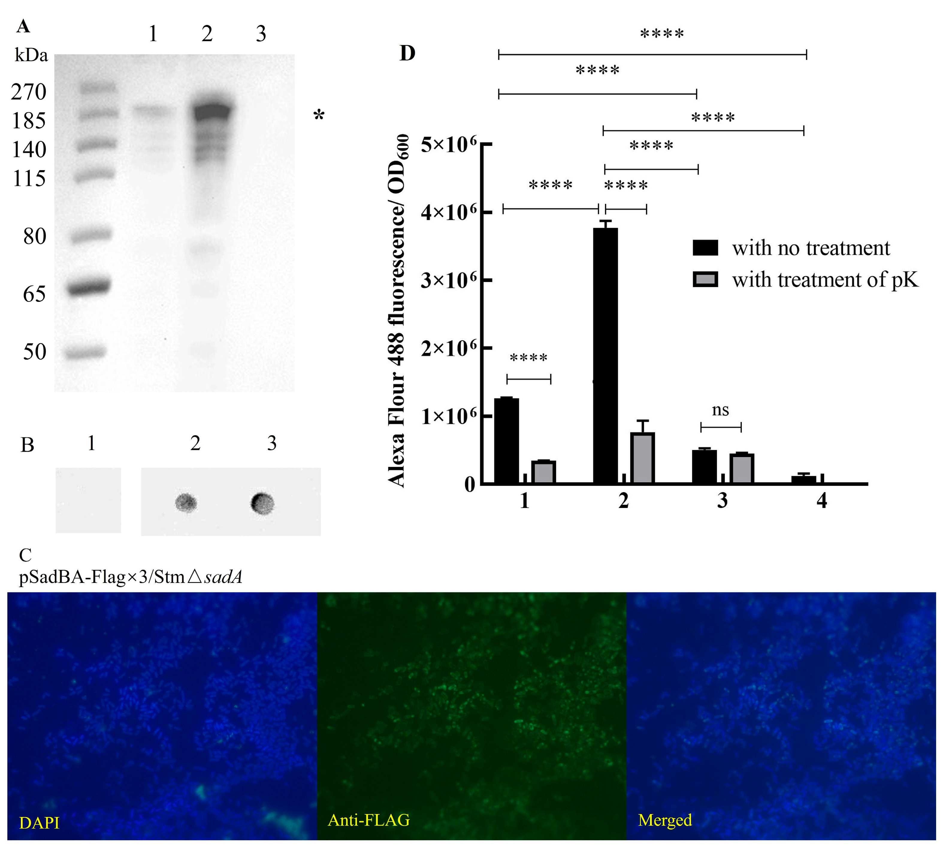 Vaccines 12 00399 g002 Vaccines 12 00399 g002