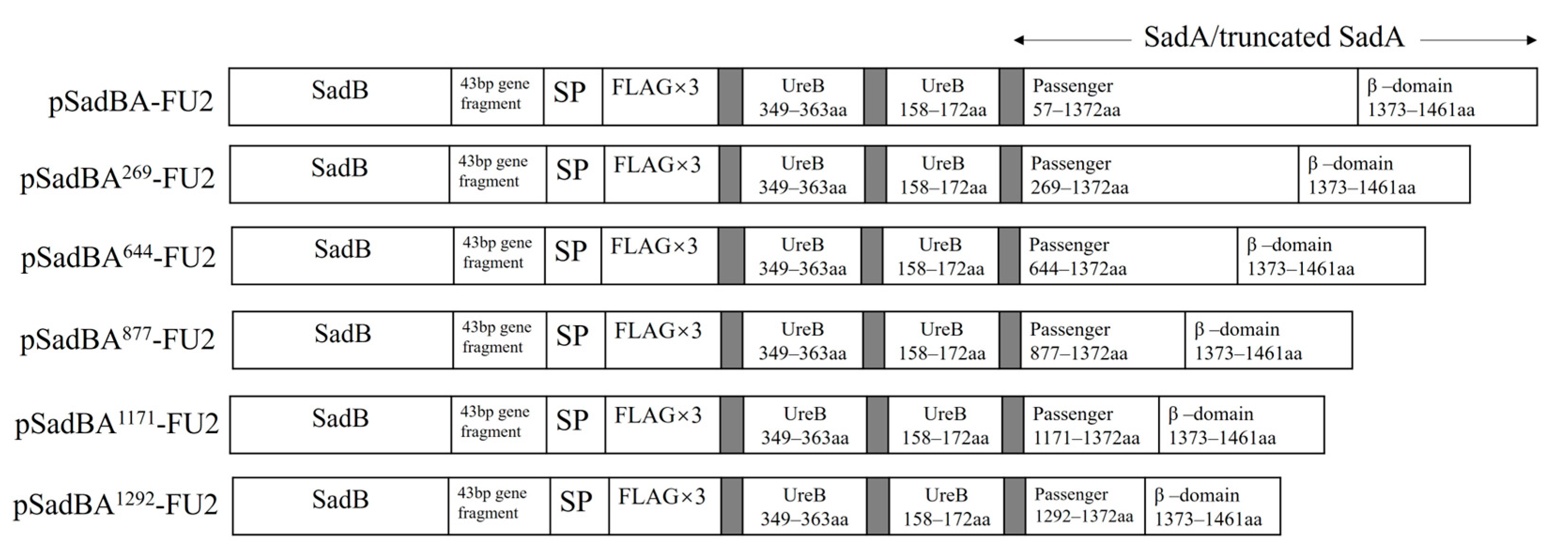 Vaccines 12 00399 g003 Vaccines 12 00399 g003