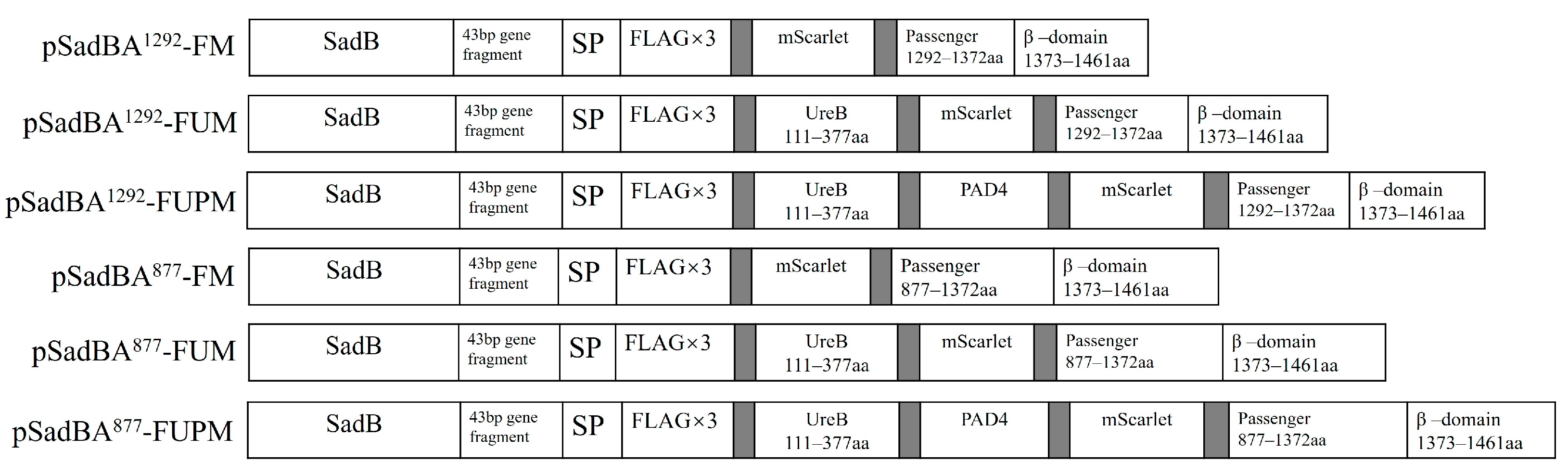 Vaccines 12 00399 g005 Vaccines 12 00399 g005