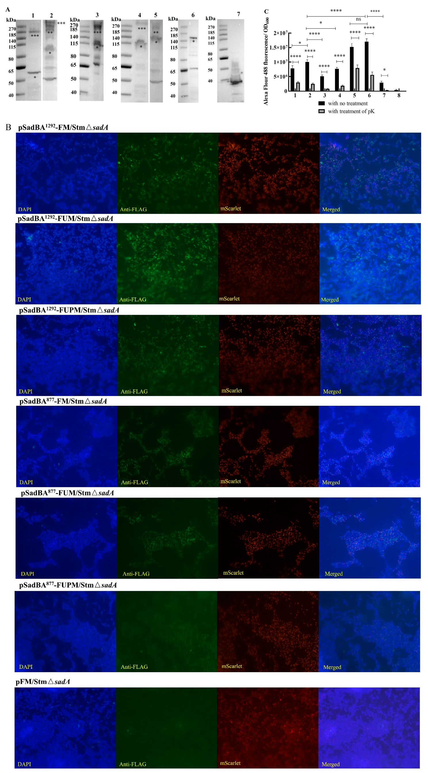 Vaccines 12 00399 g006 Vaccines 12 00399 g006