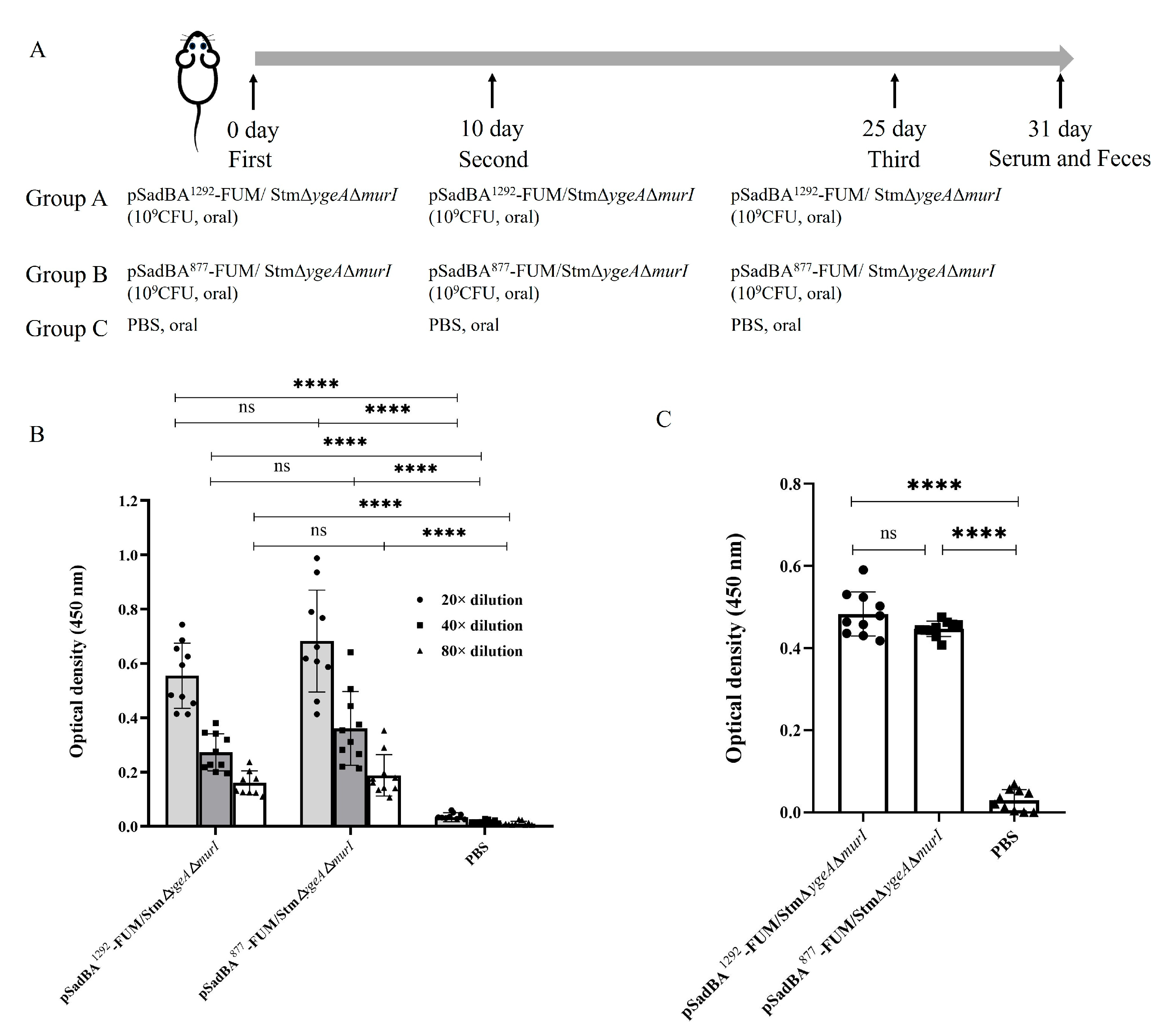 Vaccines 12 00399 g007 Vaccines 12 00399 g007