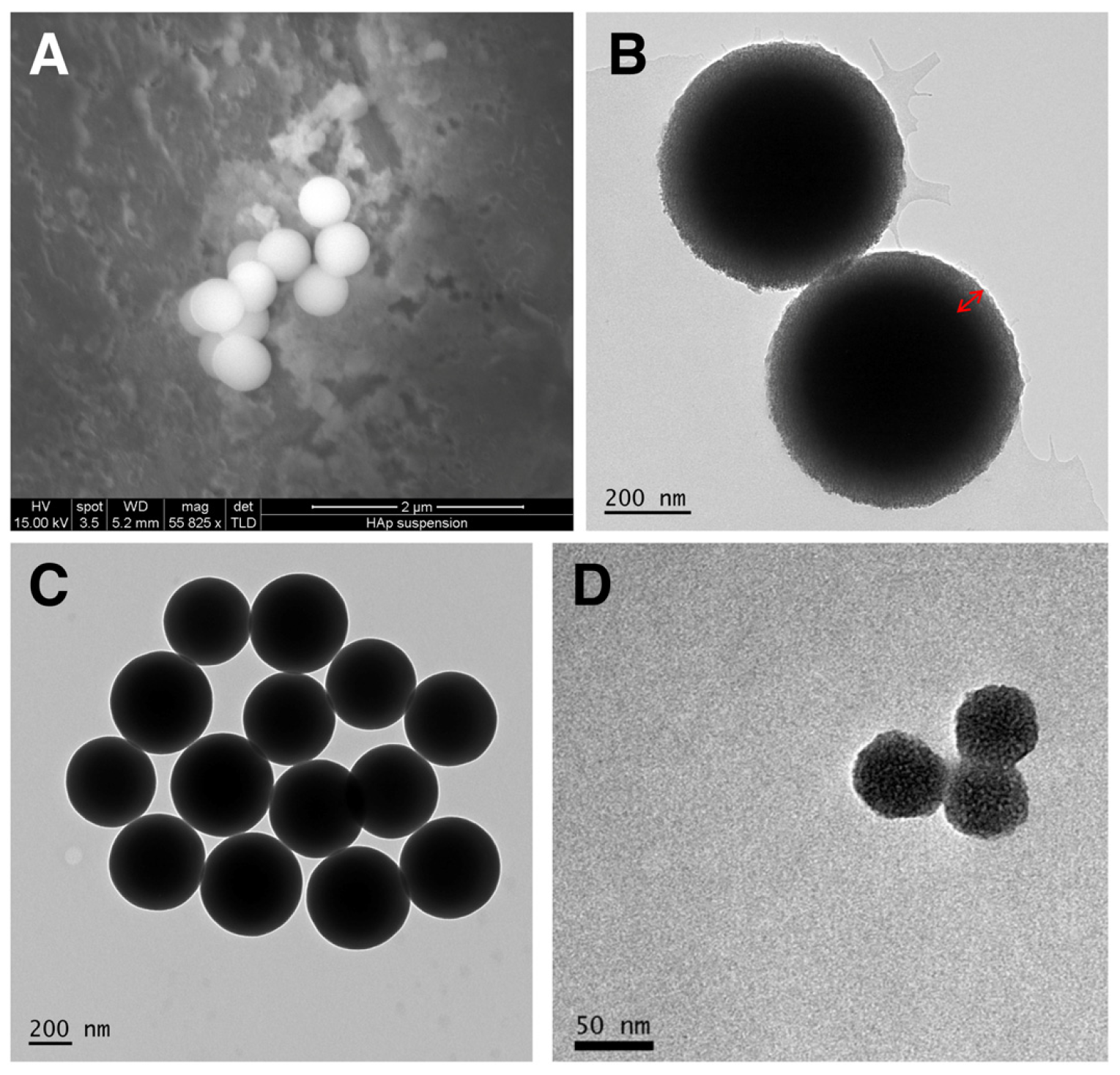 Vaccines 12 00410 g002 Vaccines 12 00410 g002
