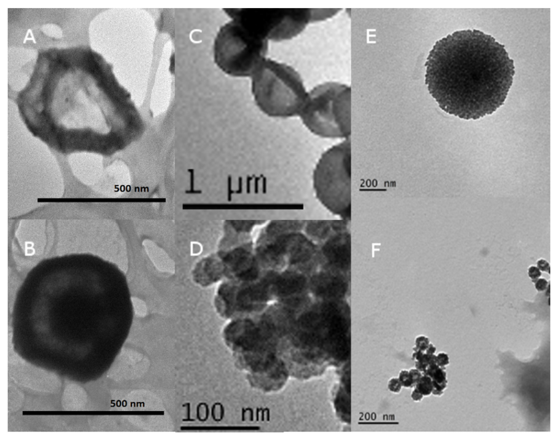 Vaccines 12 00410 g003 Vaccines 12 00410 g003