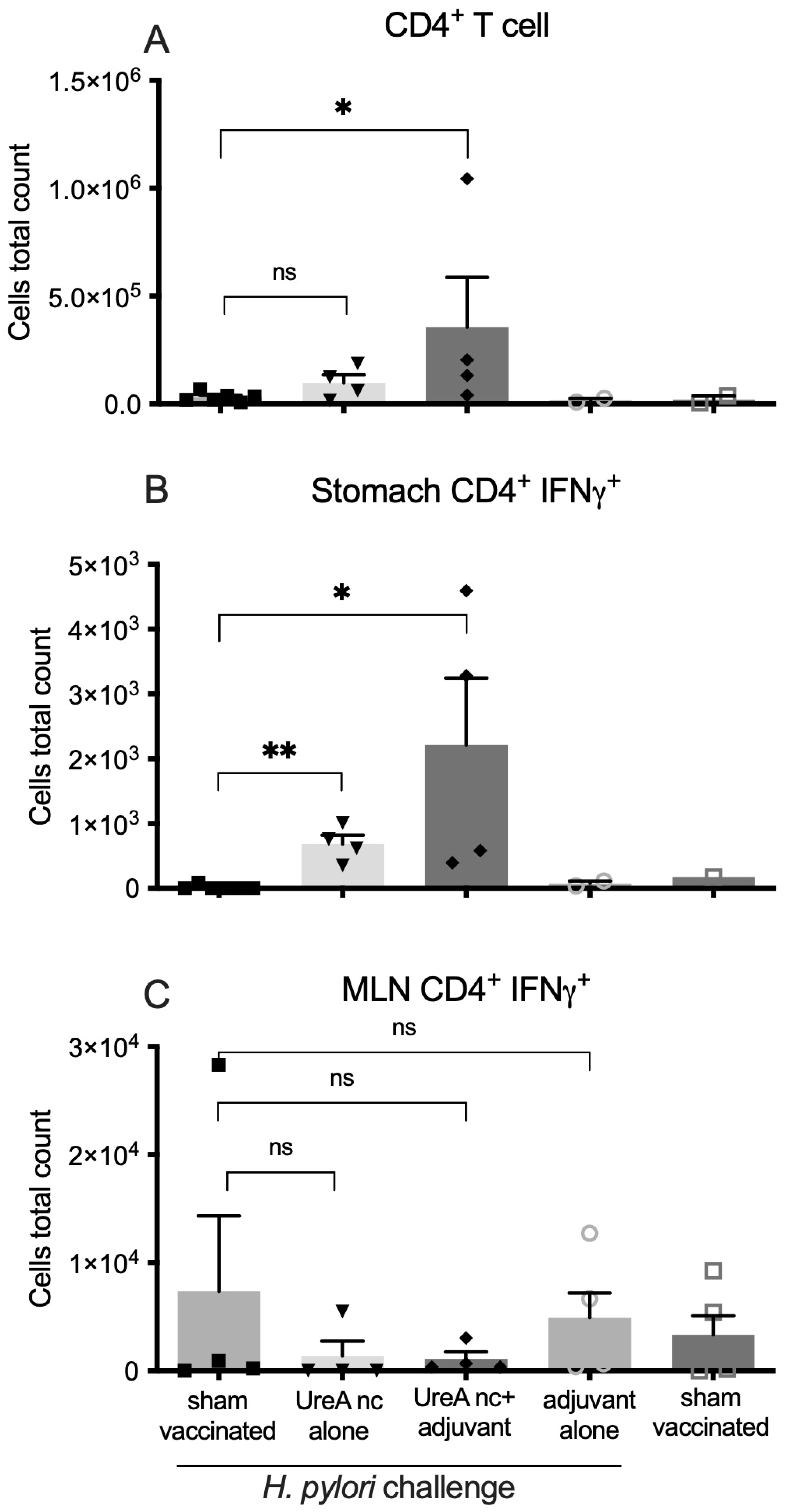 Vaccines 12 00410 g005 Vaccines 12 00410 g005