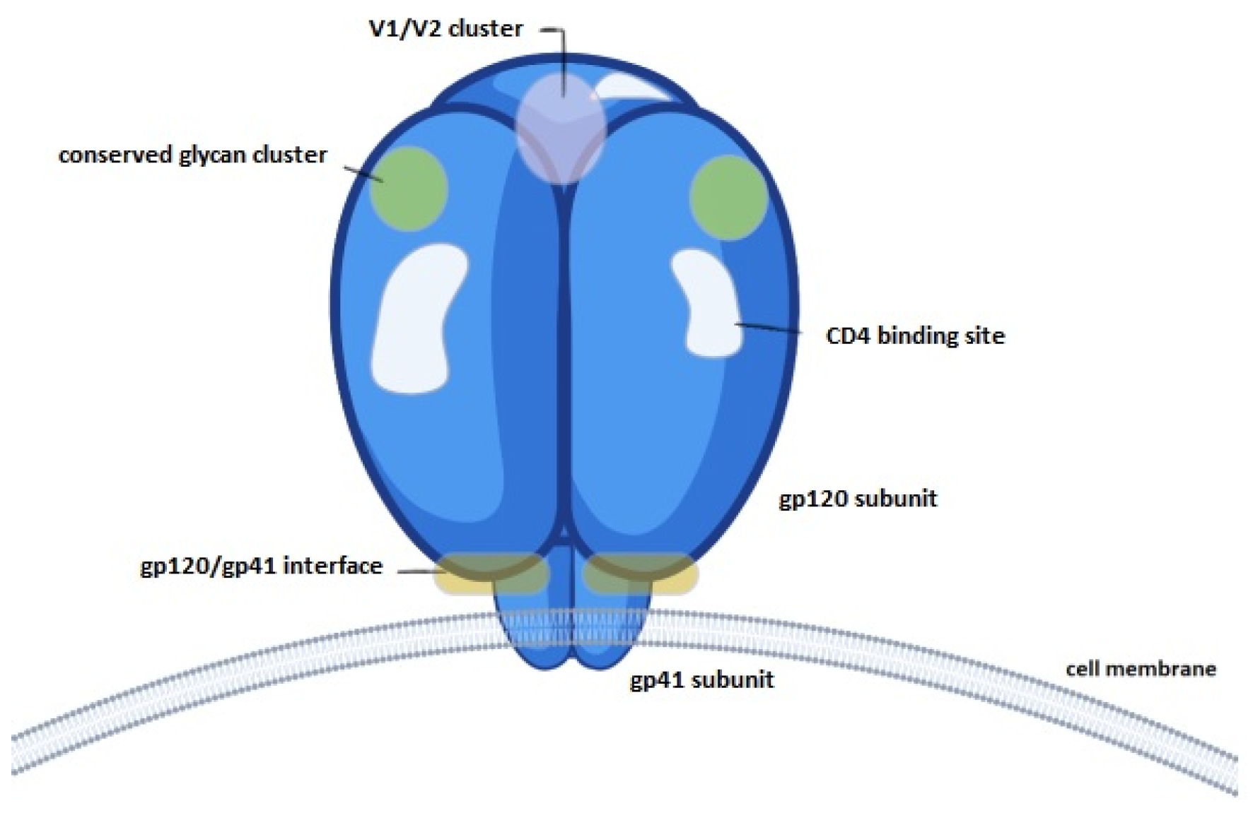 Vaccines 12 00410 g009 Vaccines 12 00410 g009