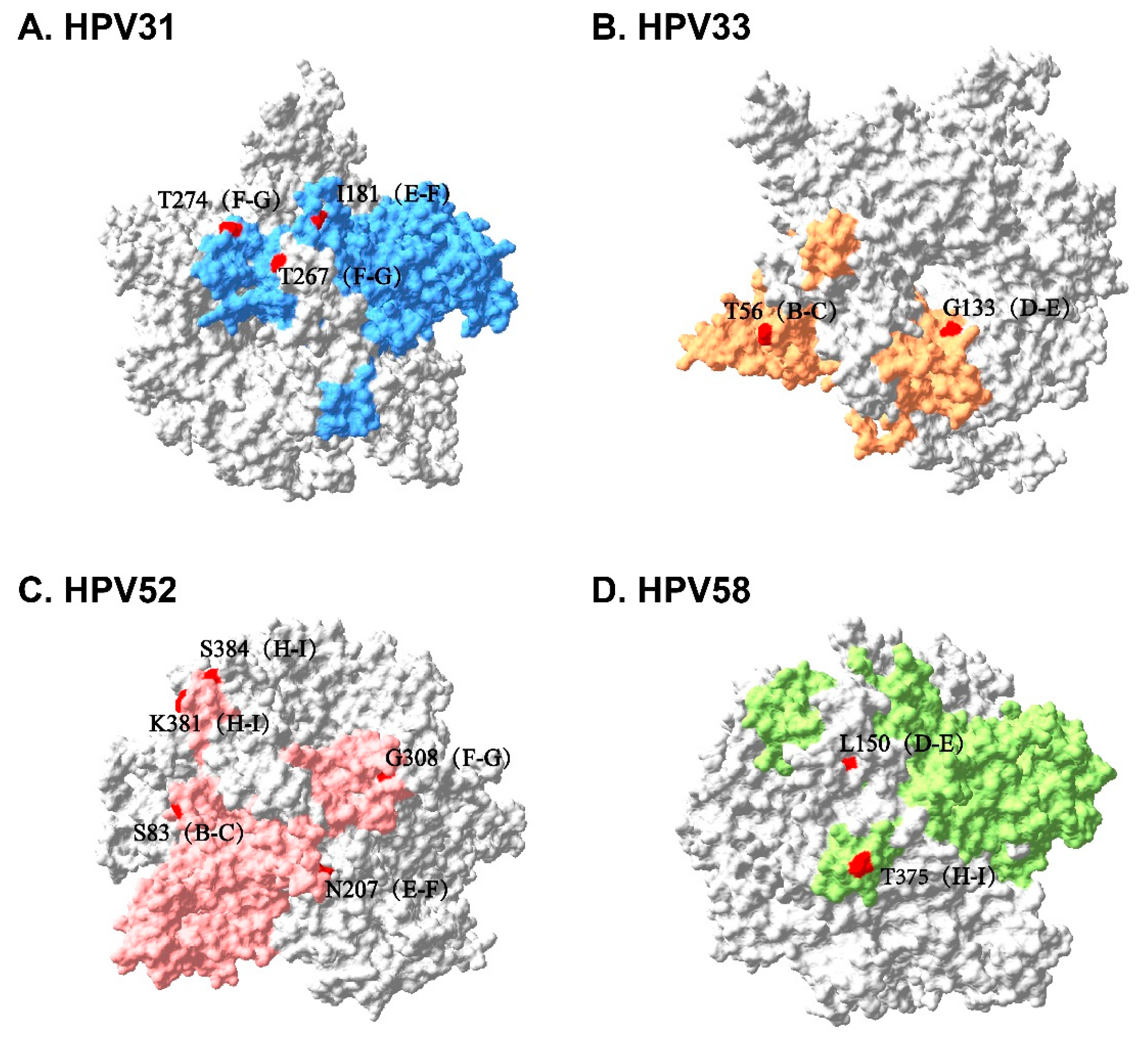 Vaccines 12 00411 g005 Vaccines 12 00411 g005