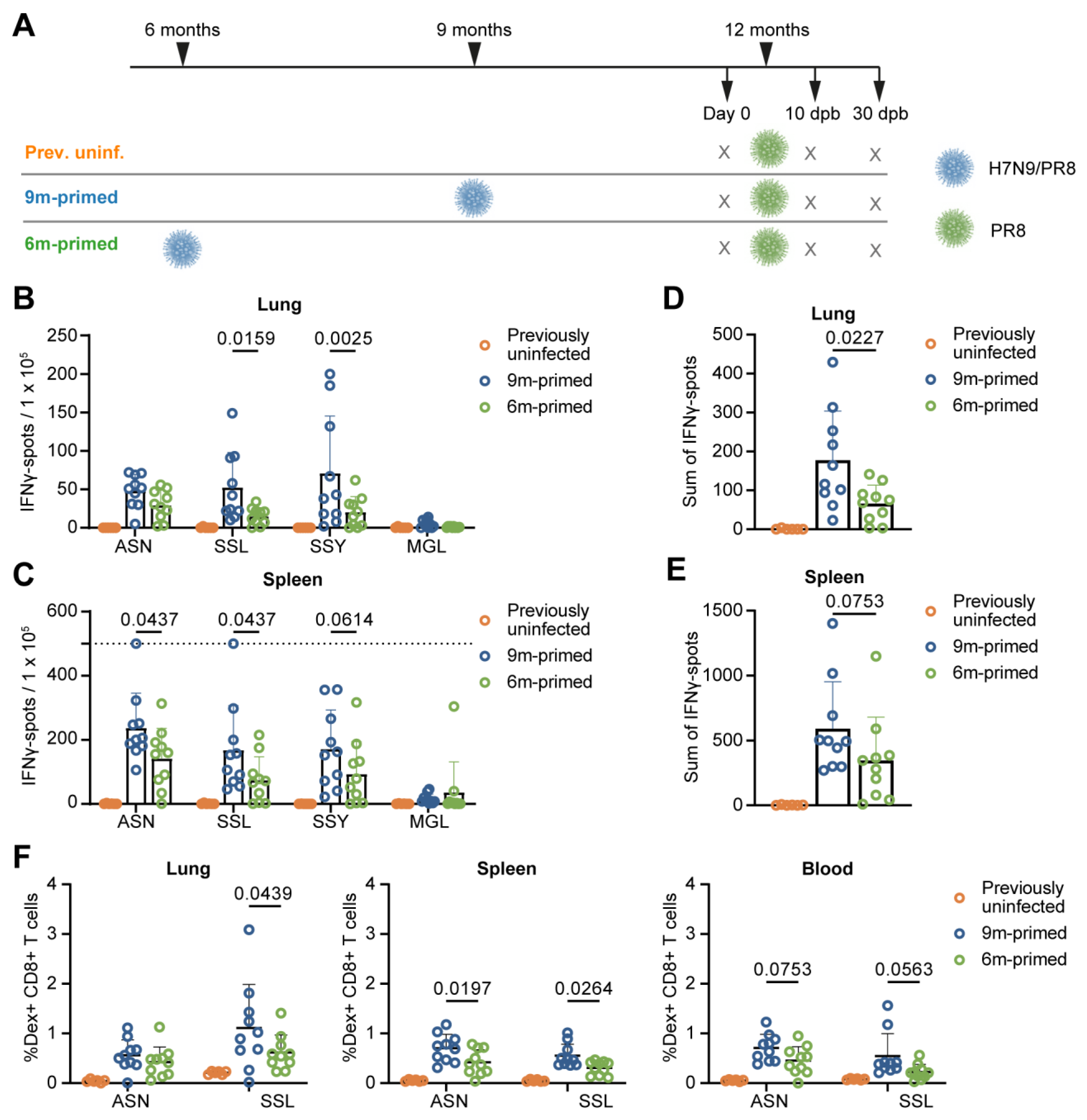 Vaccines 12 00419 g001