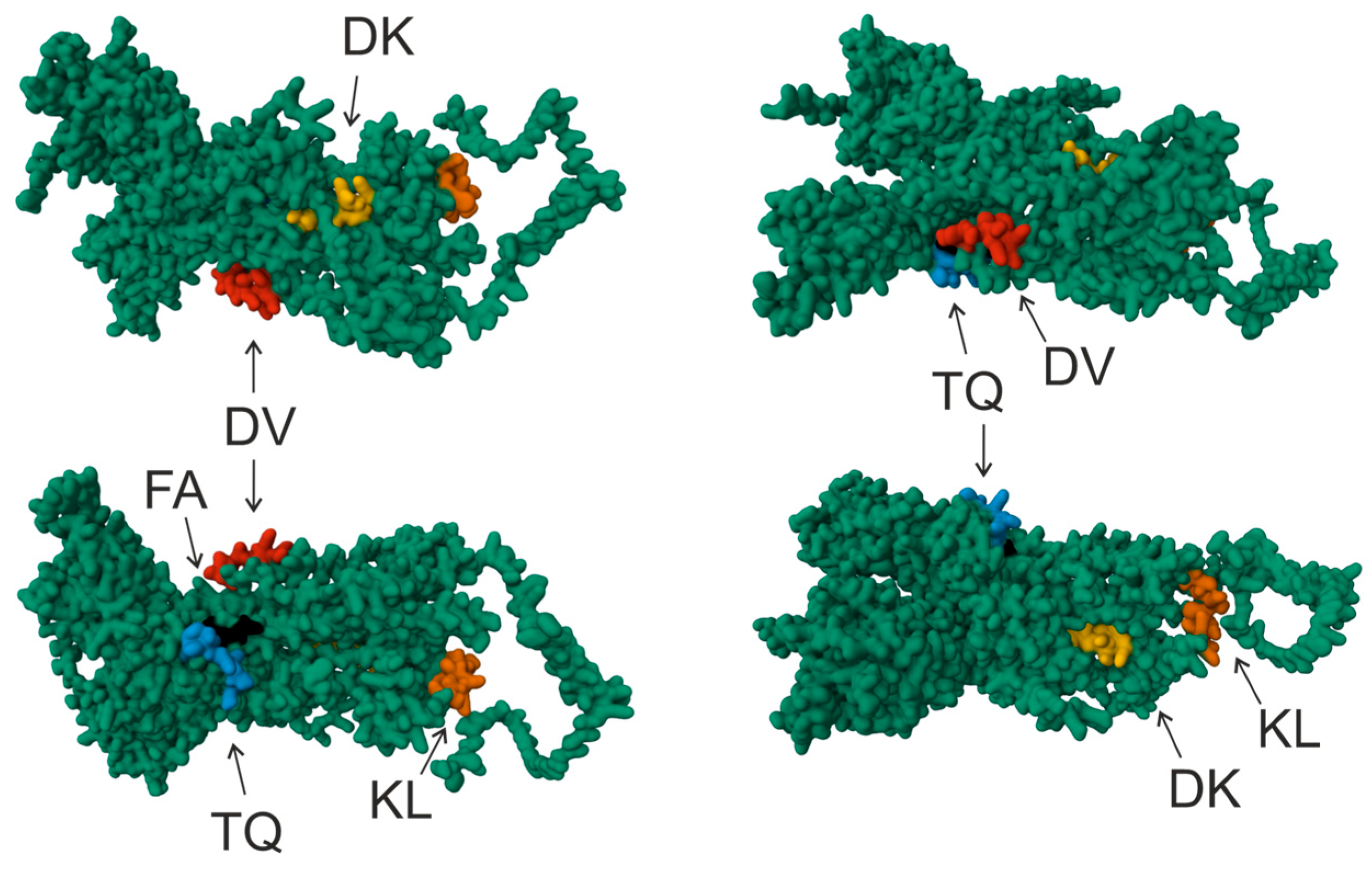 Vaccines 12 00426 g002