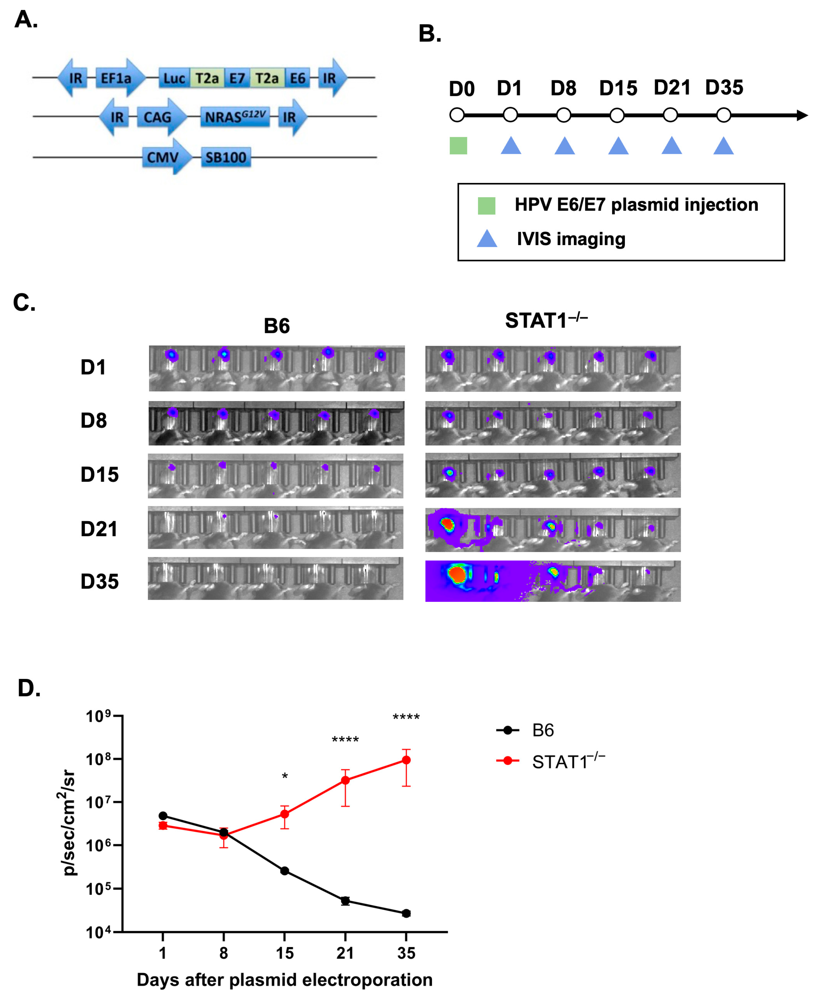Vaccines 12 00430 g001