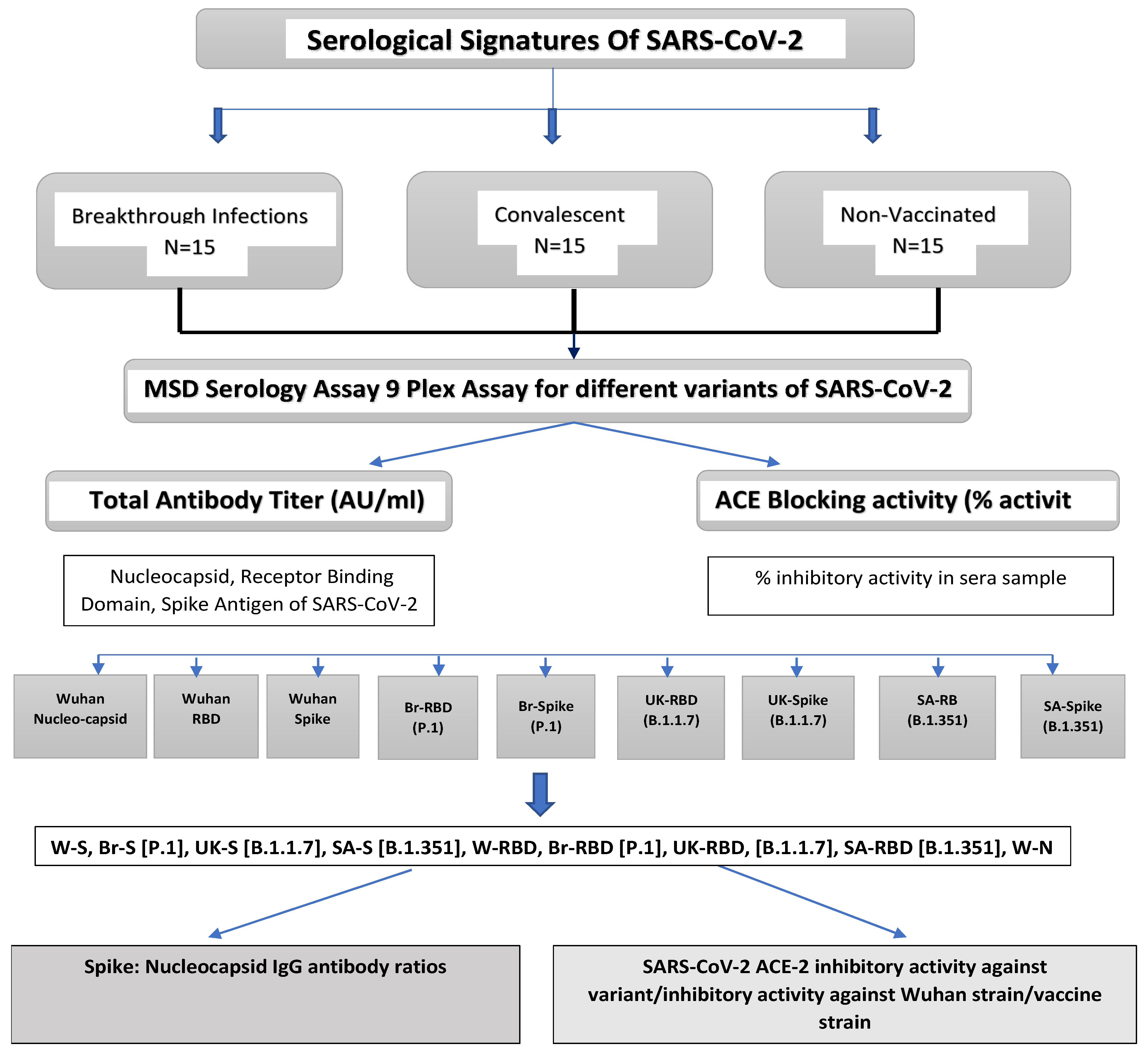 Vaccines 12 00433 g001