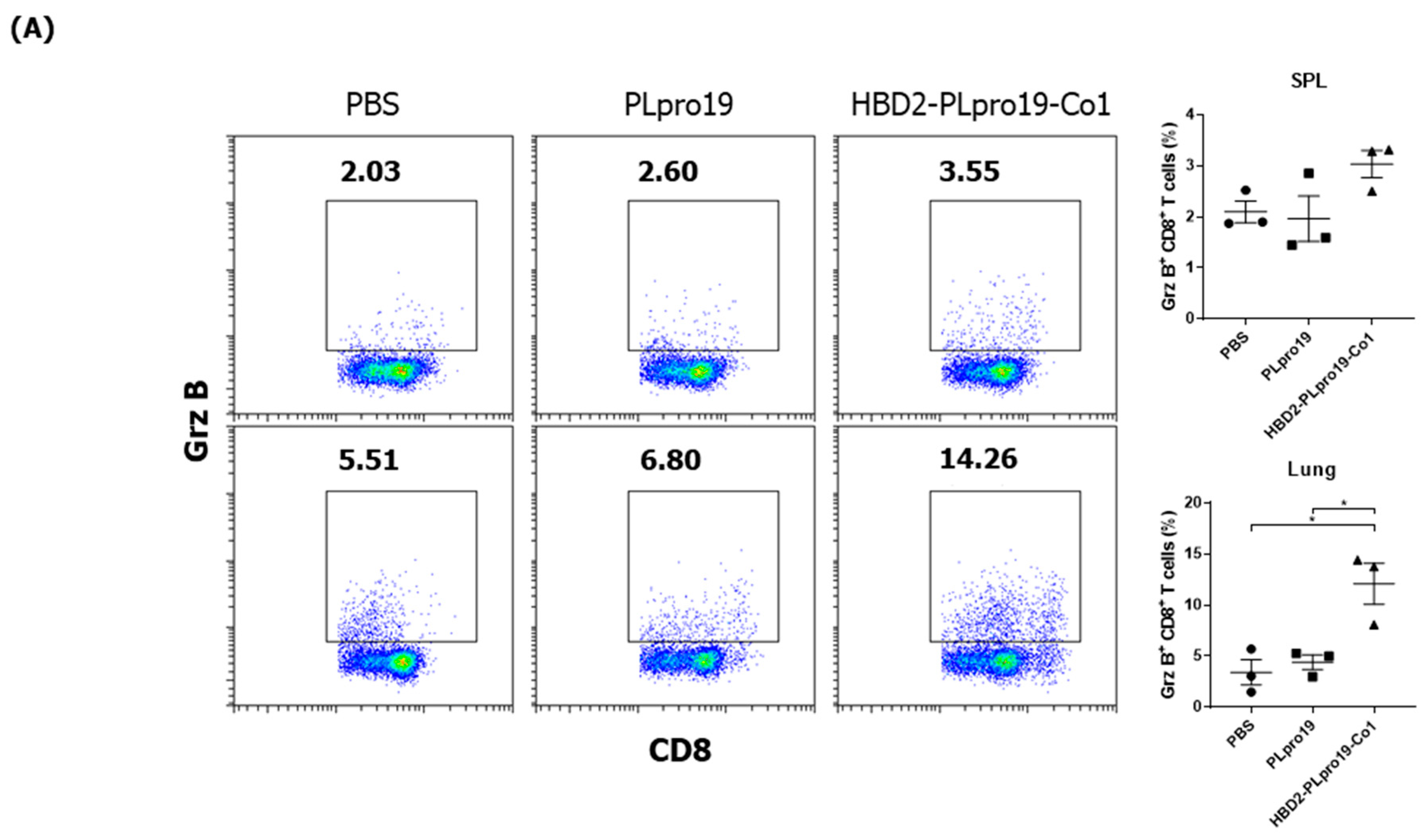 Vaccines 12 00441 g002a
