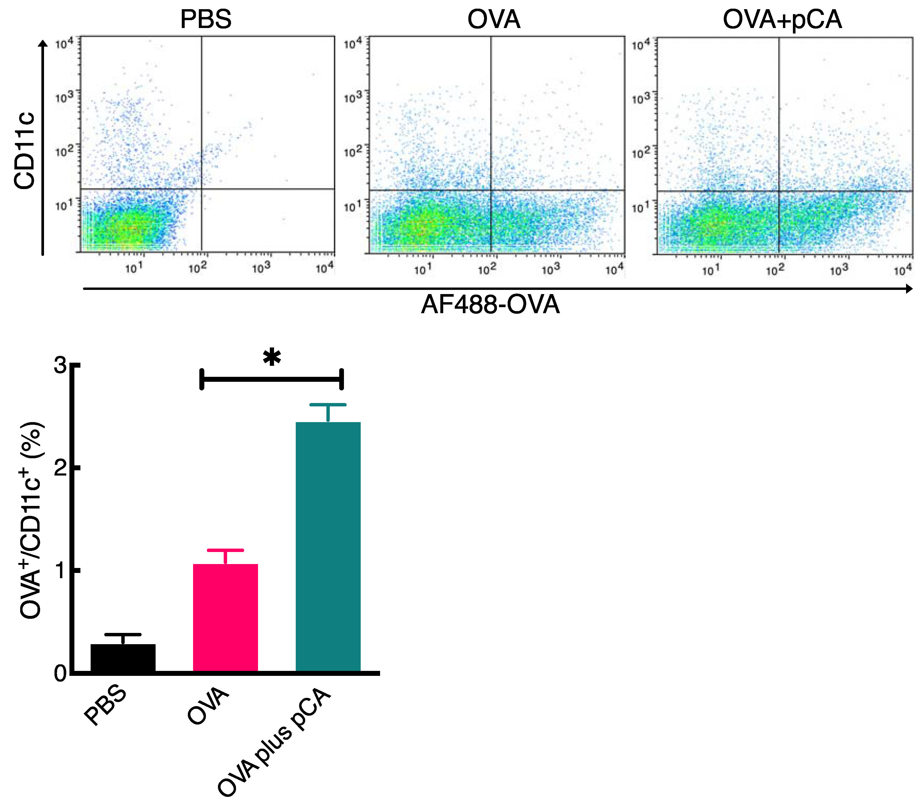 Vaccines 12 00449 g003