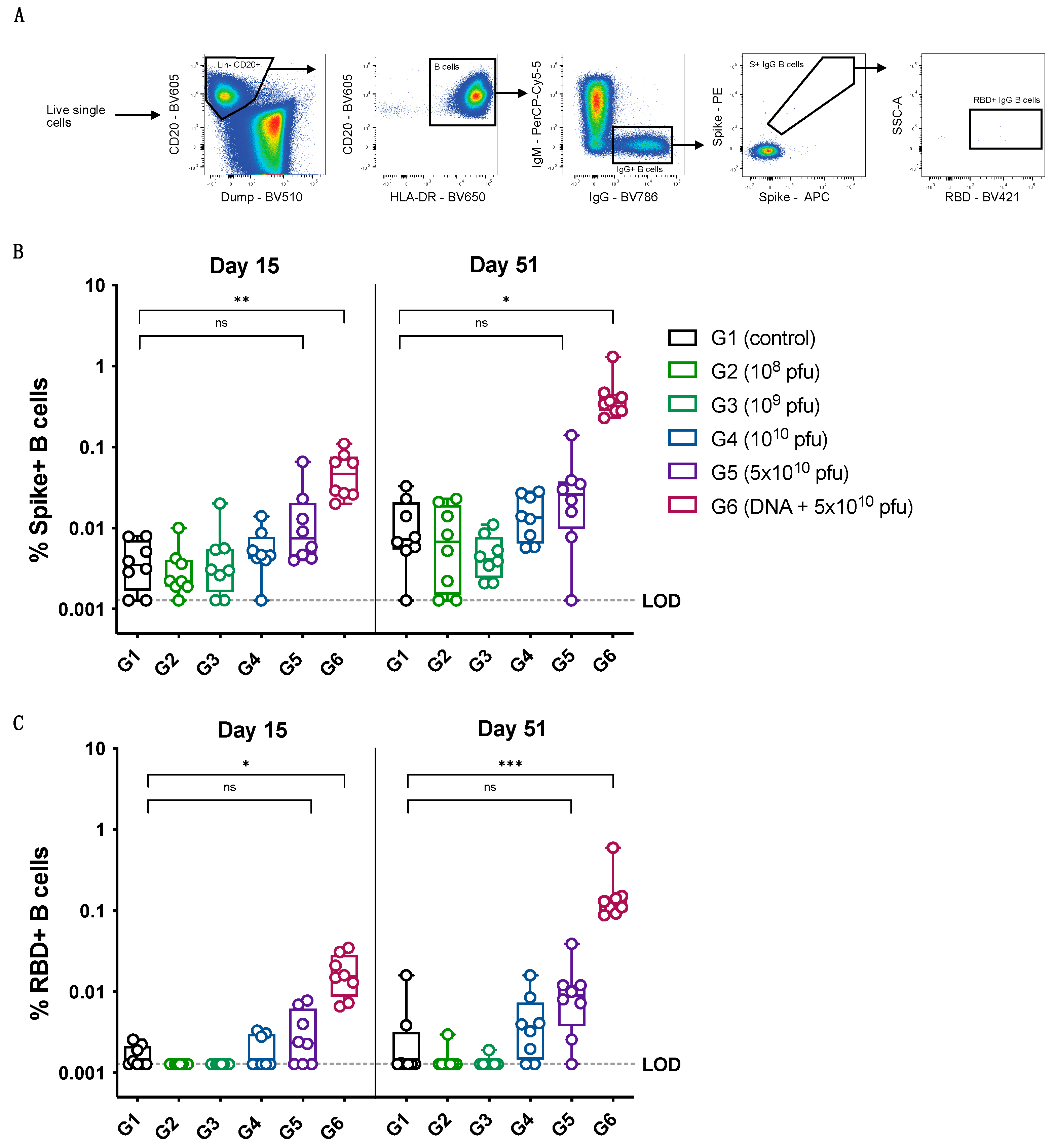 Vaccines 12 00451 g005