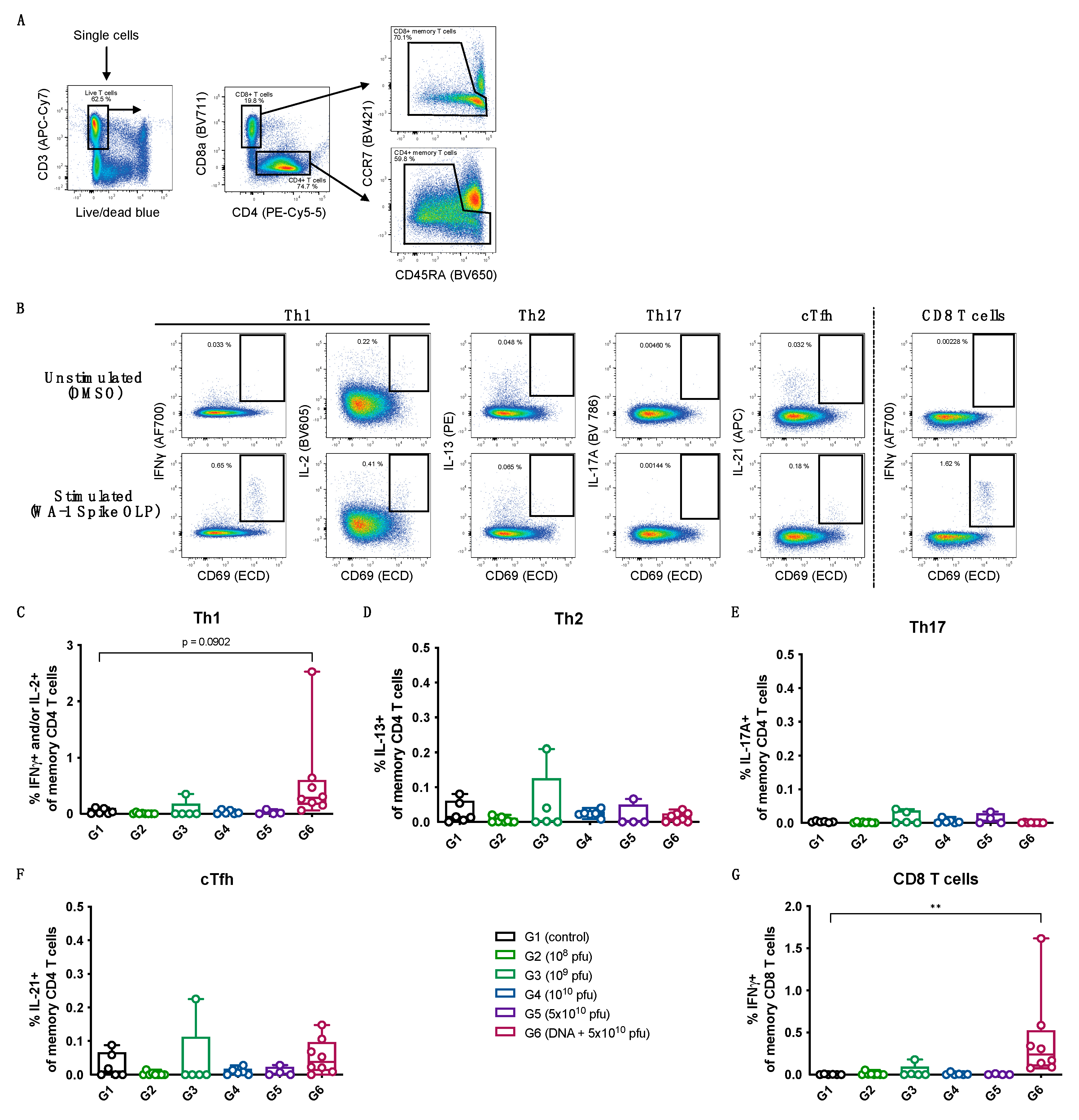 Vaccines 12 00451 g006