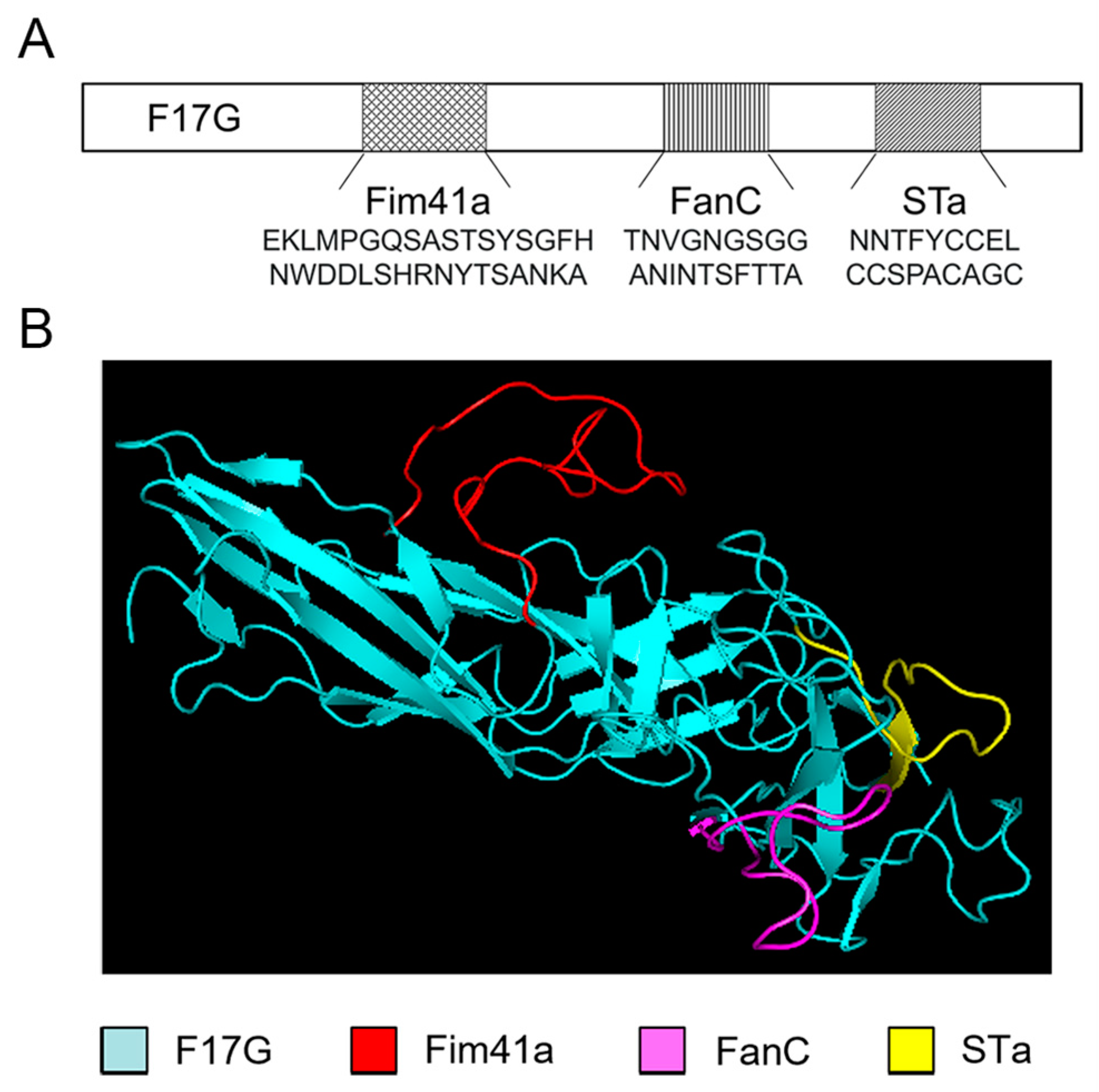 Vaccines 12 00457 g001