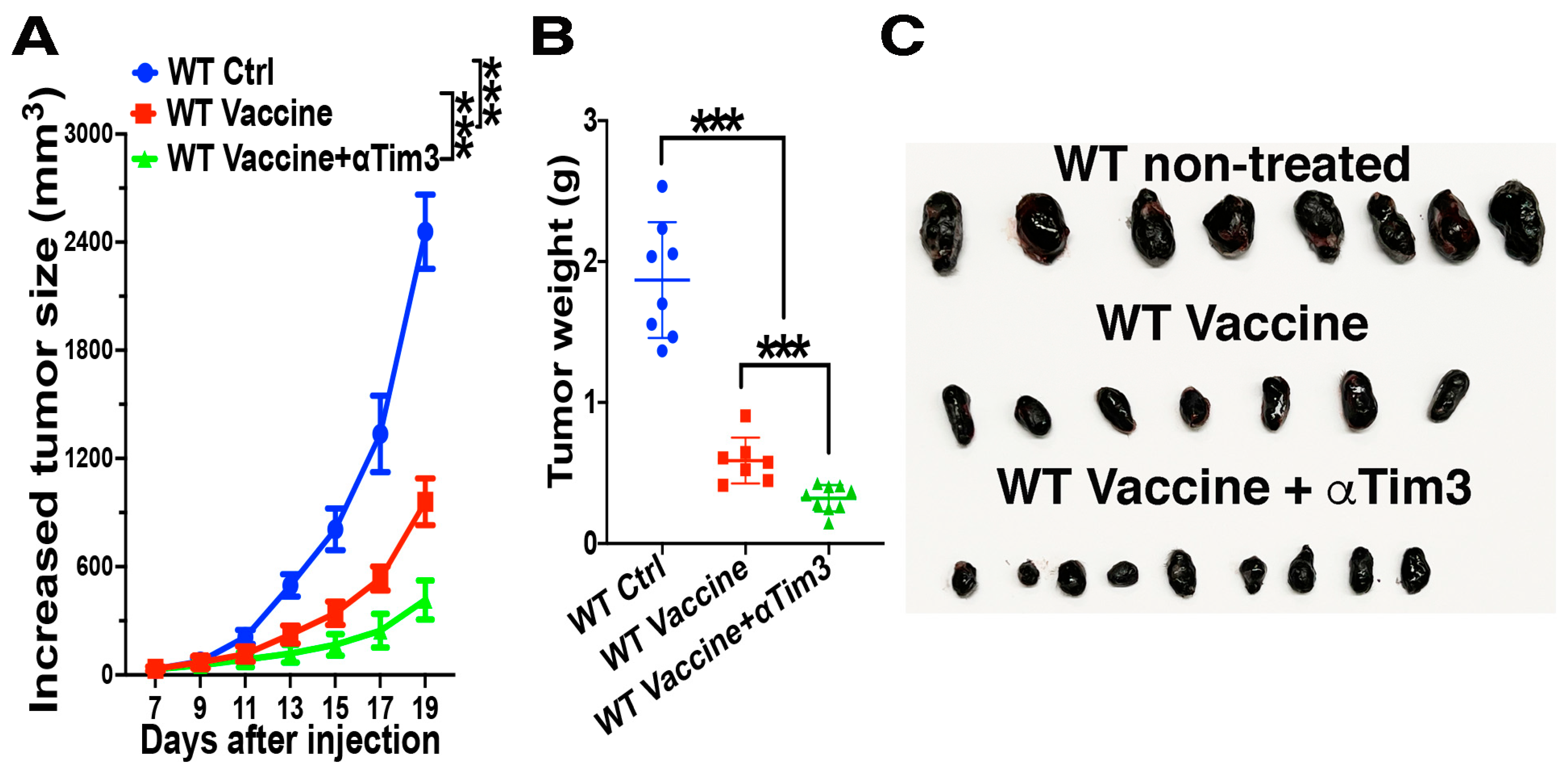 Vaccines 12 00460 g006