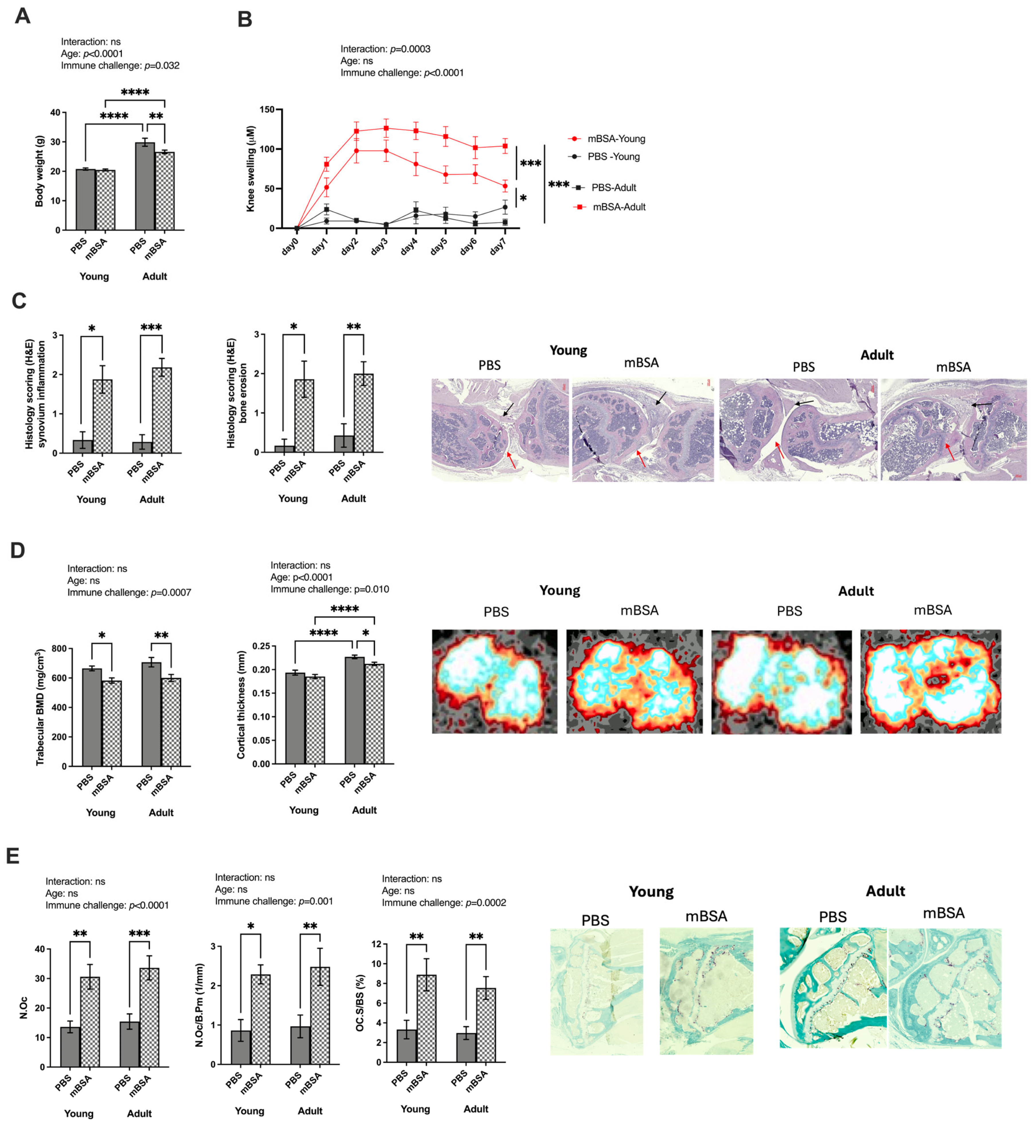Vaccines 12 00479 g001