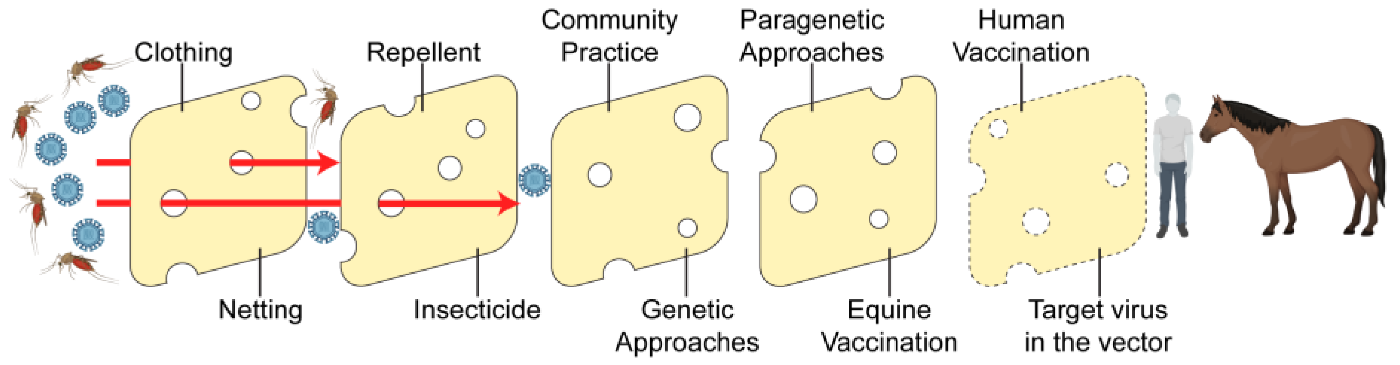 Vaccines 12 00485 g001