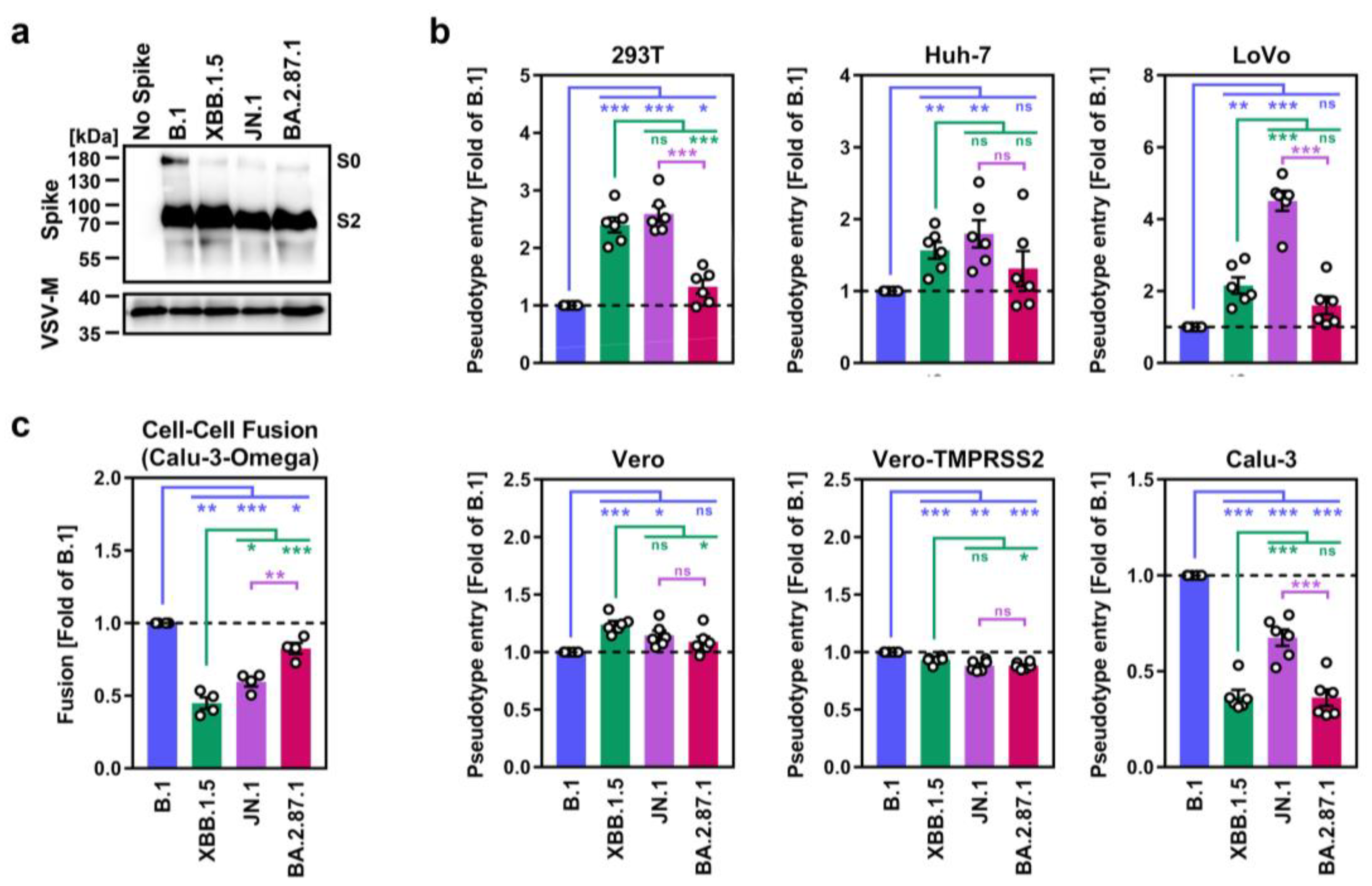 Vaccines 12 00487 g001