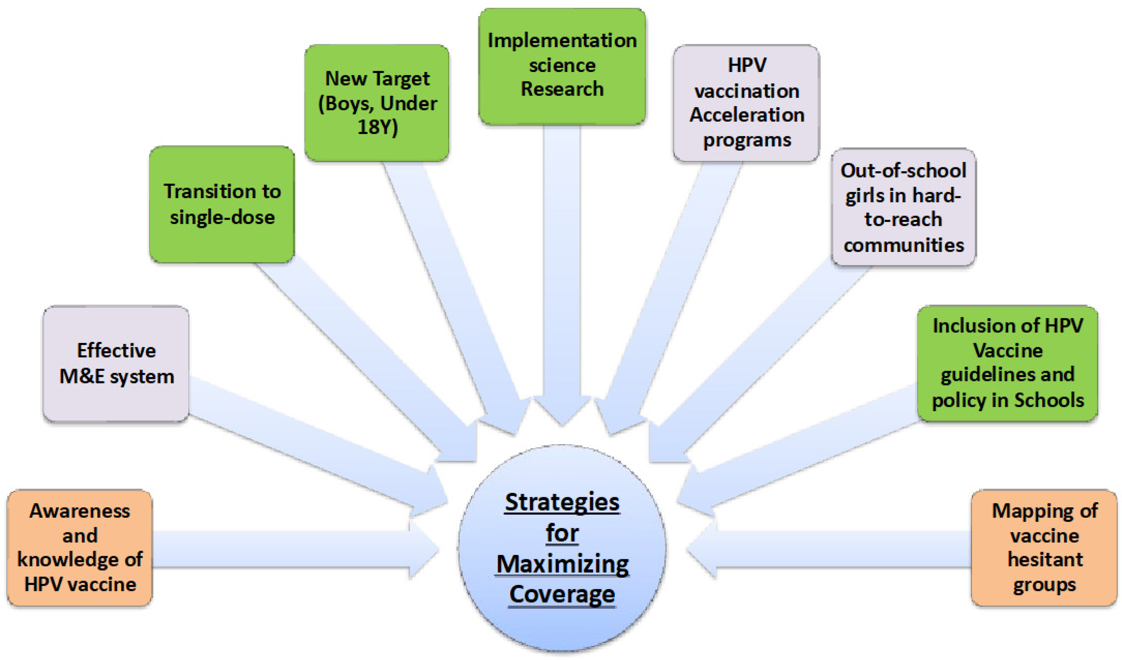 Vaccines 12 00489 g005