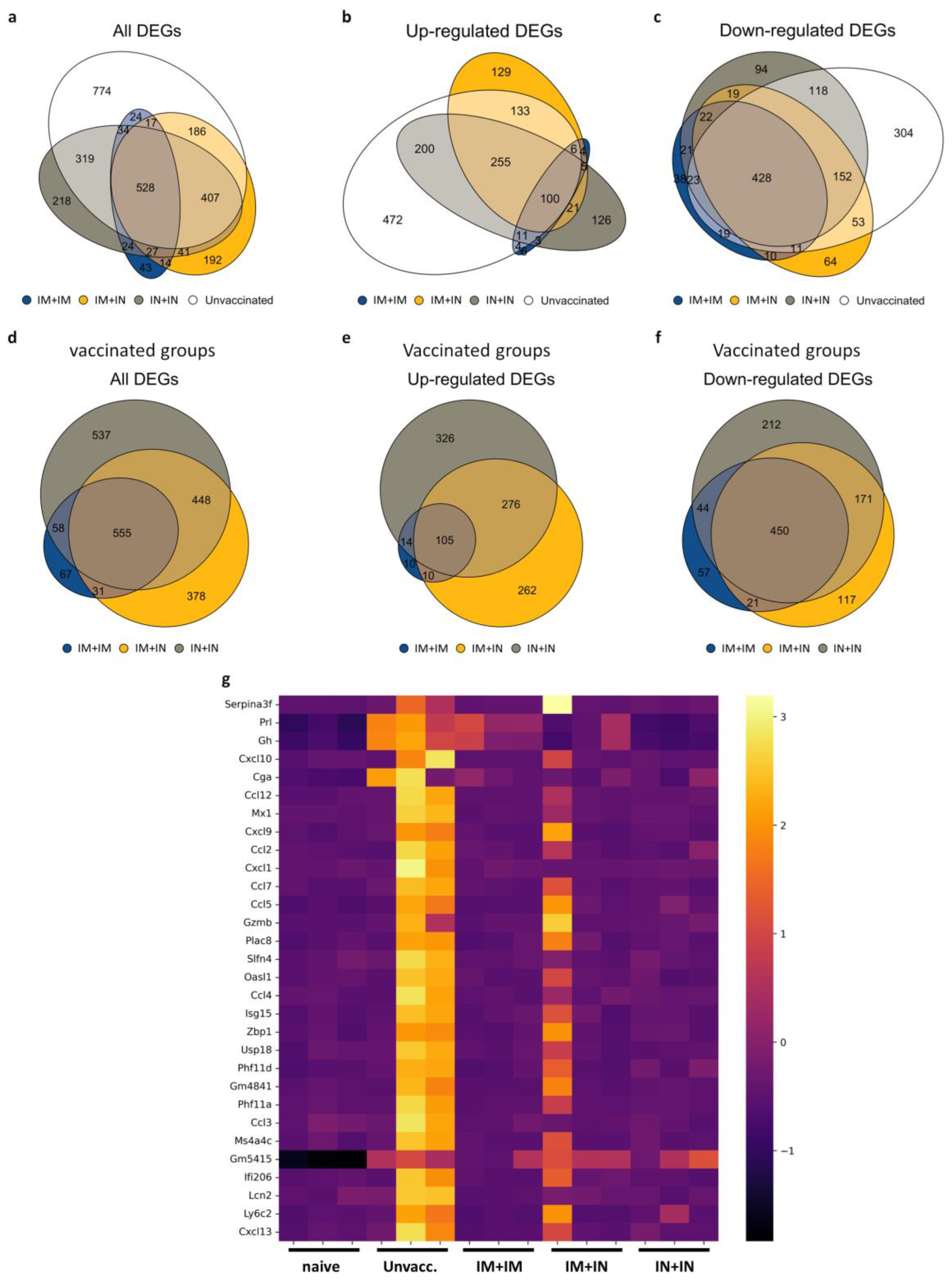 Vaccines 12 00491 g004