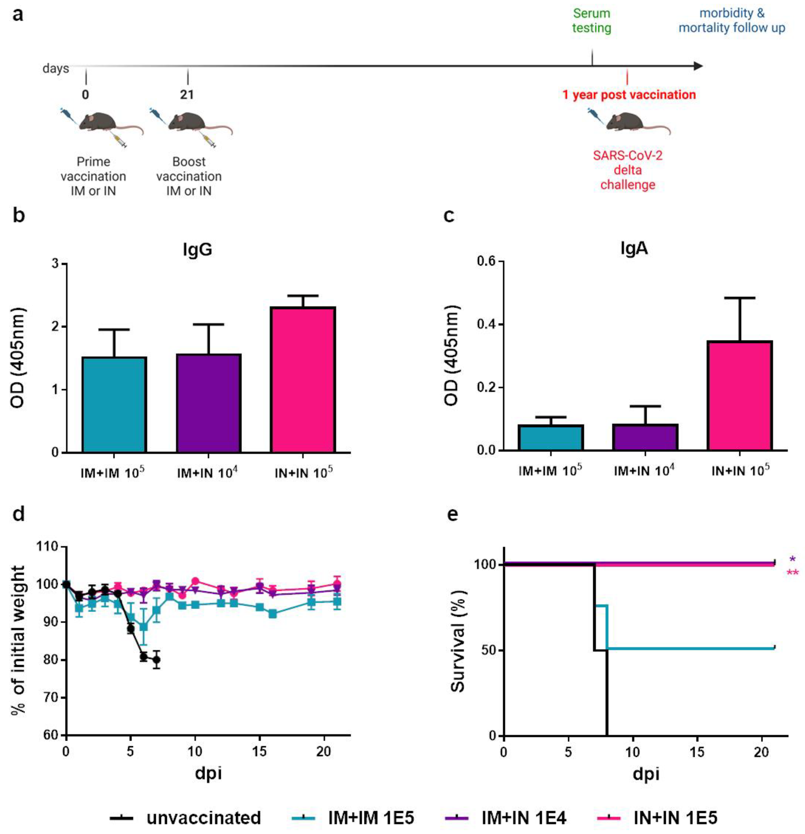 Vaccines 12 00491 g006