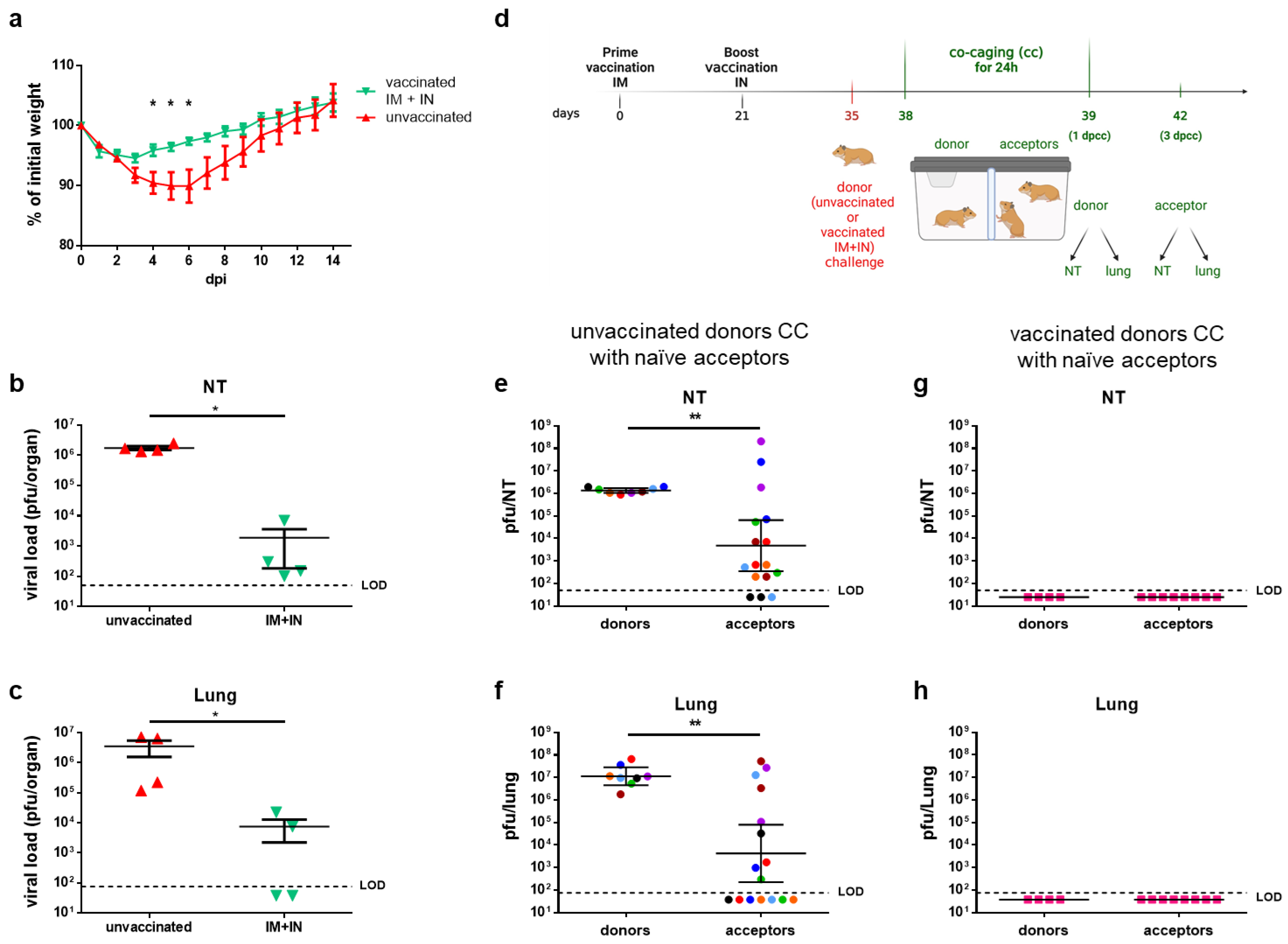 Vaccines 12 00491 g007