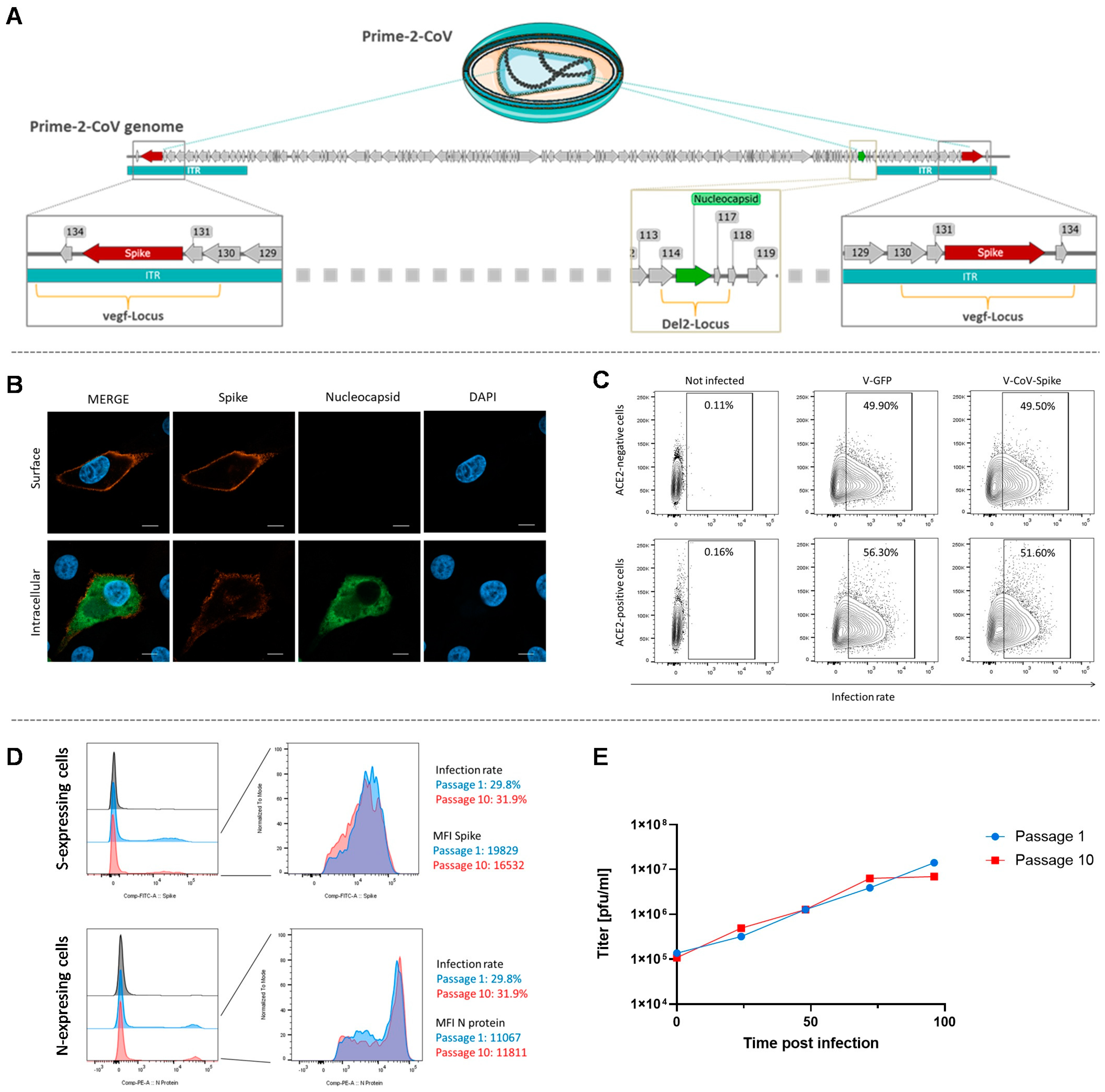 Vaccines 12 00492 g004