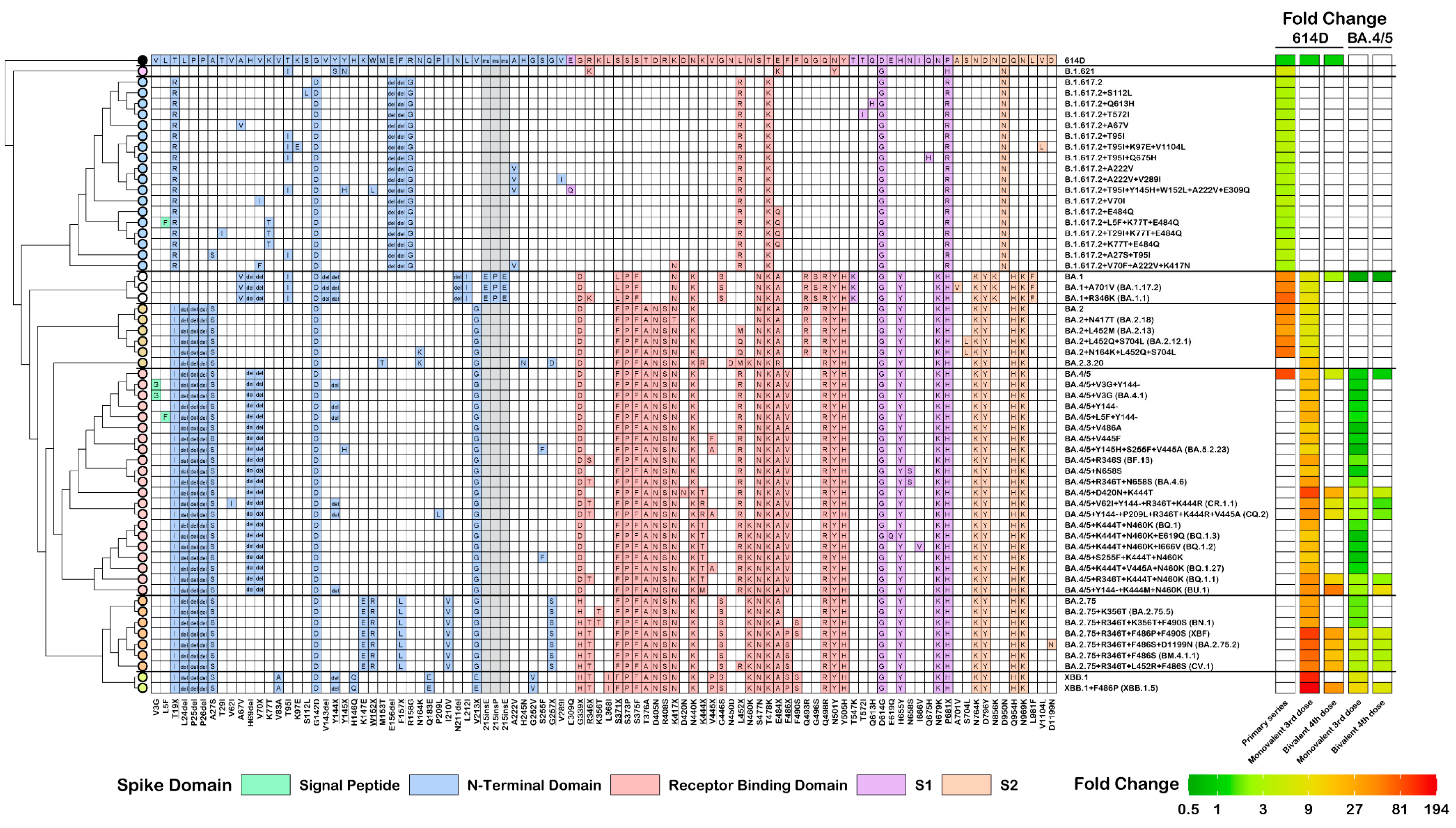 Vaccines 12 00505 g002