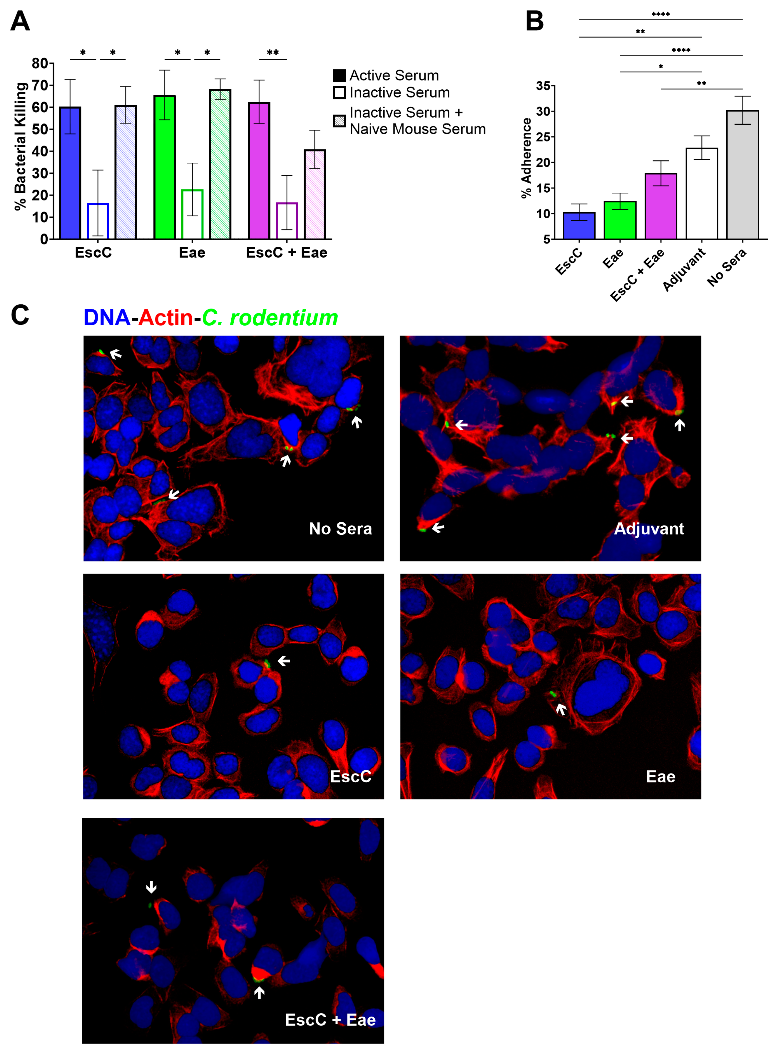 Vaccines 12 00508 g003