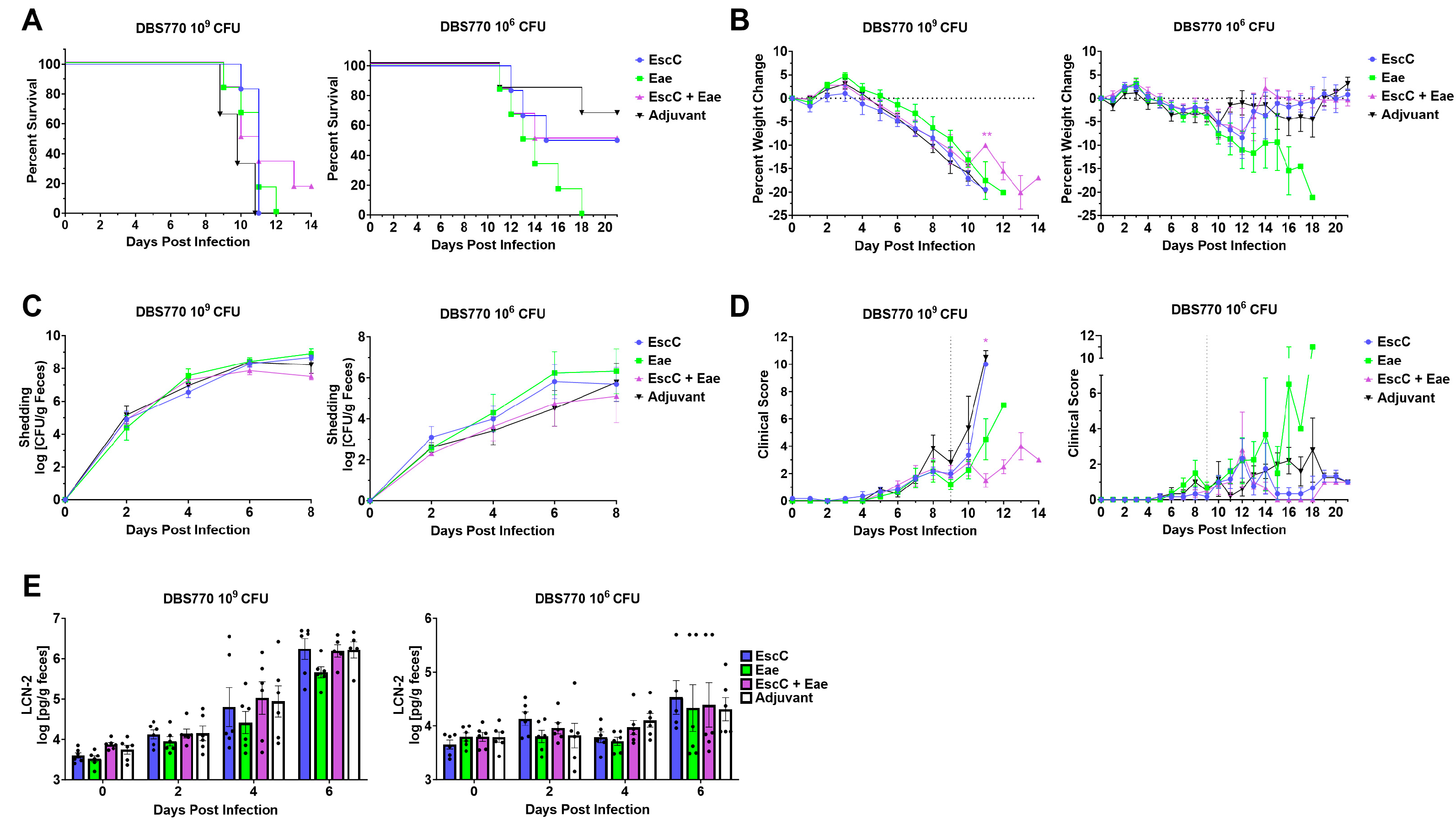 Vaccines 12 00508 g004