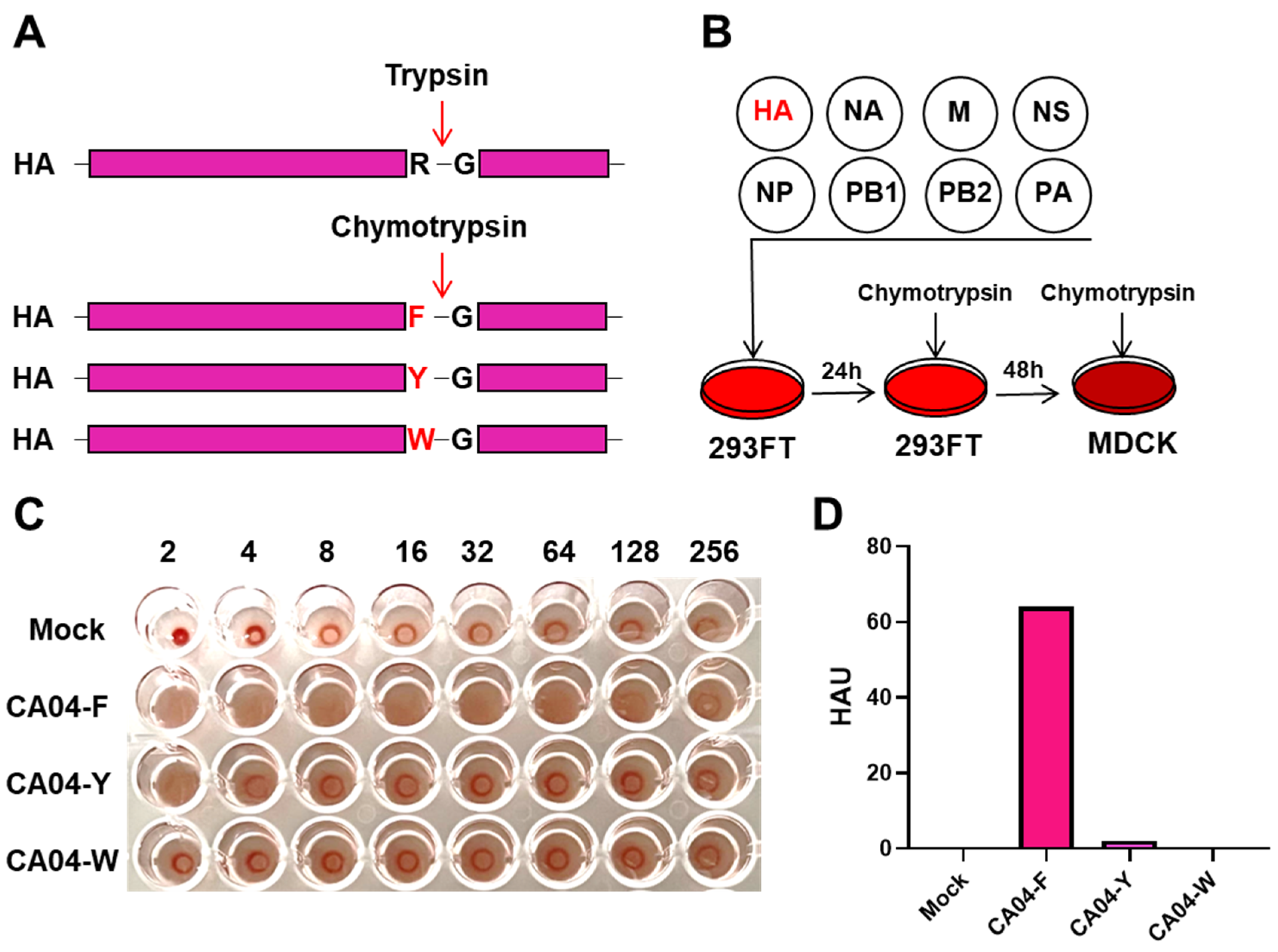 Vaccines 12 00512 g001