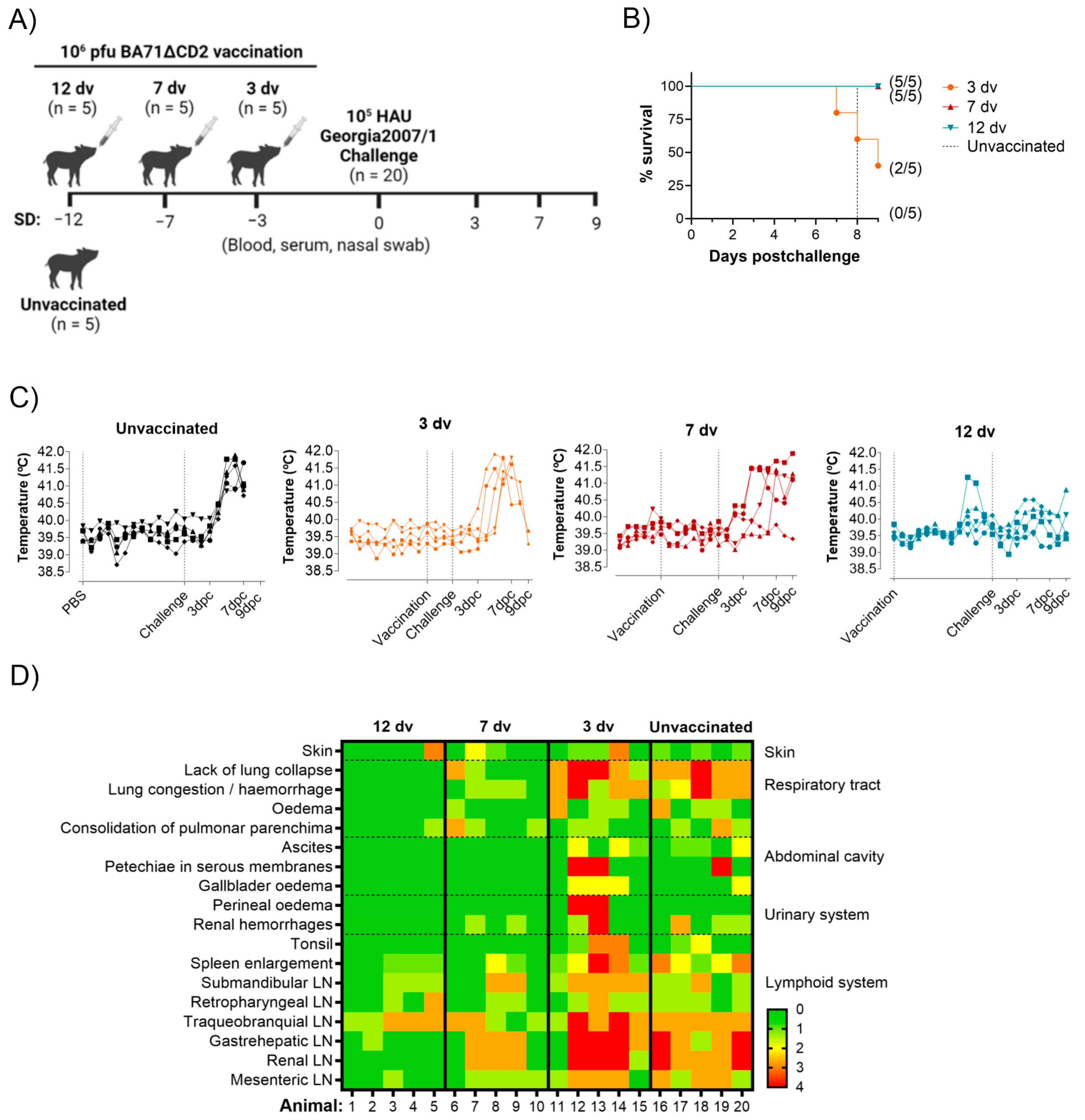 Vaccines 12 00517 g001