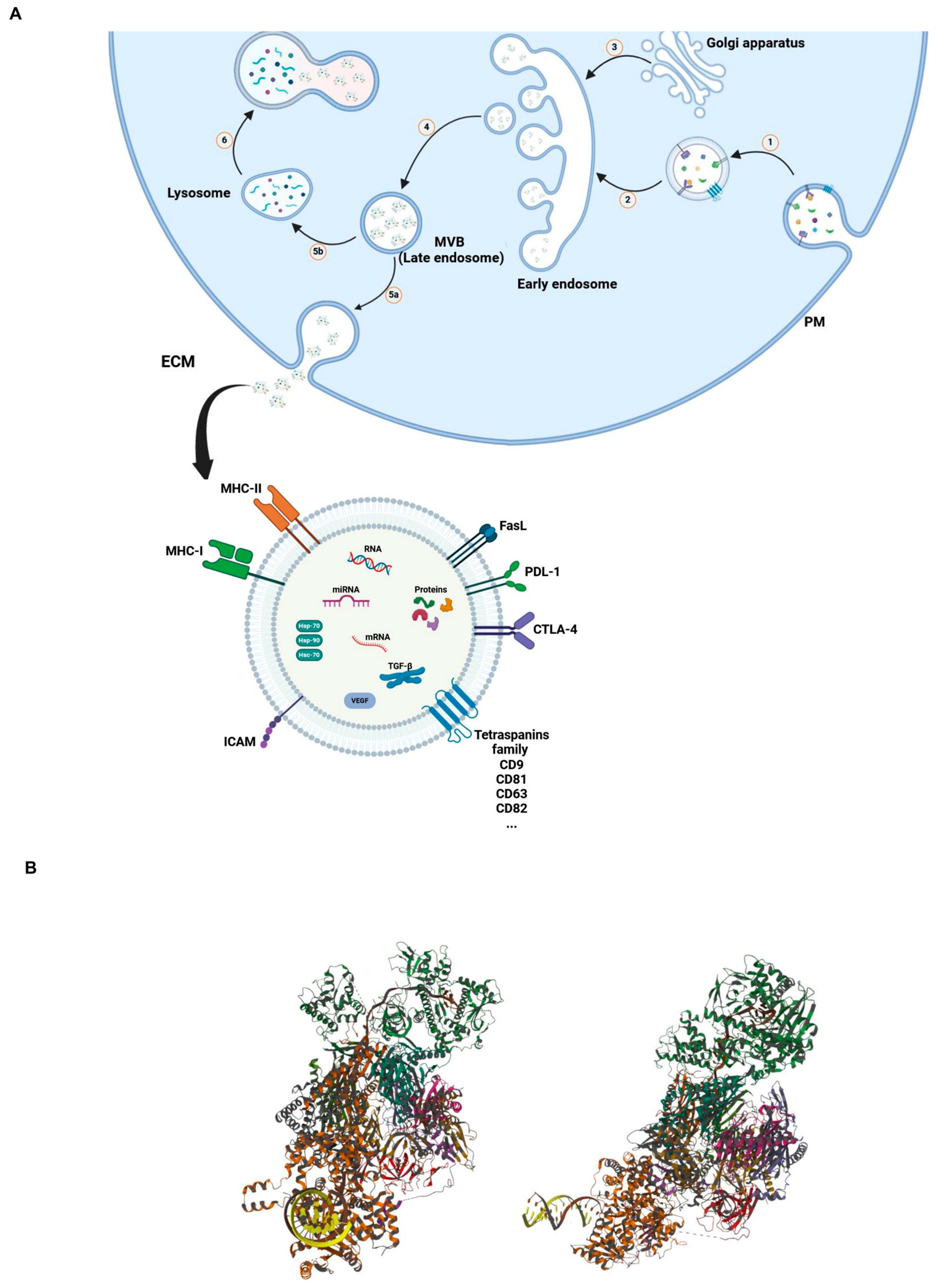 Vaccines 12 00519 g001