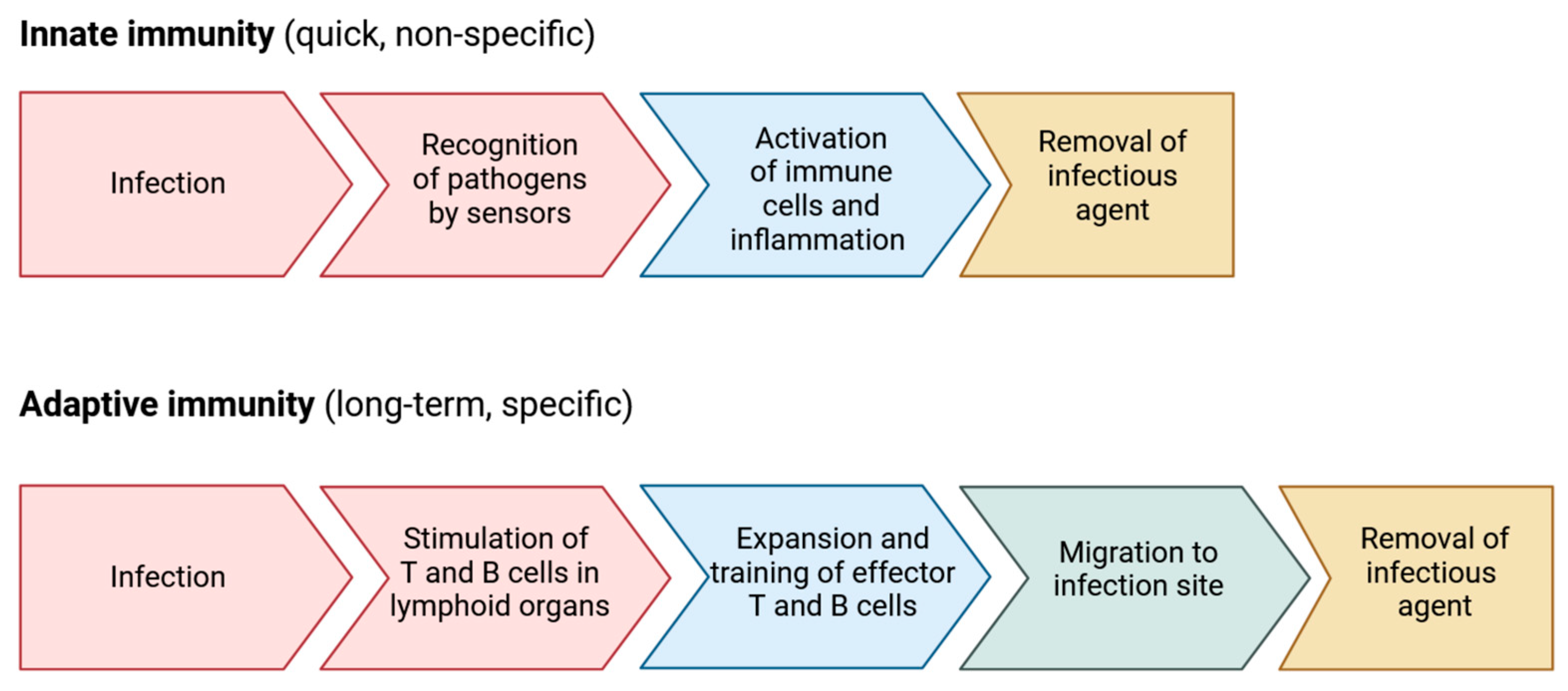 Vaccines 12 00519 g002
